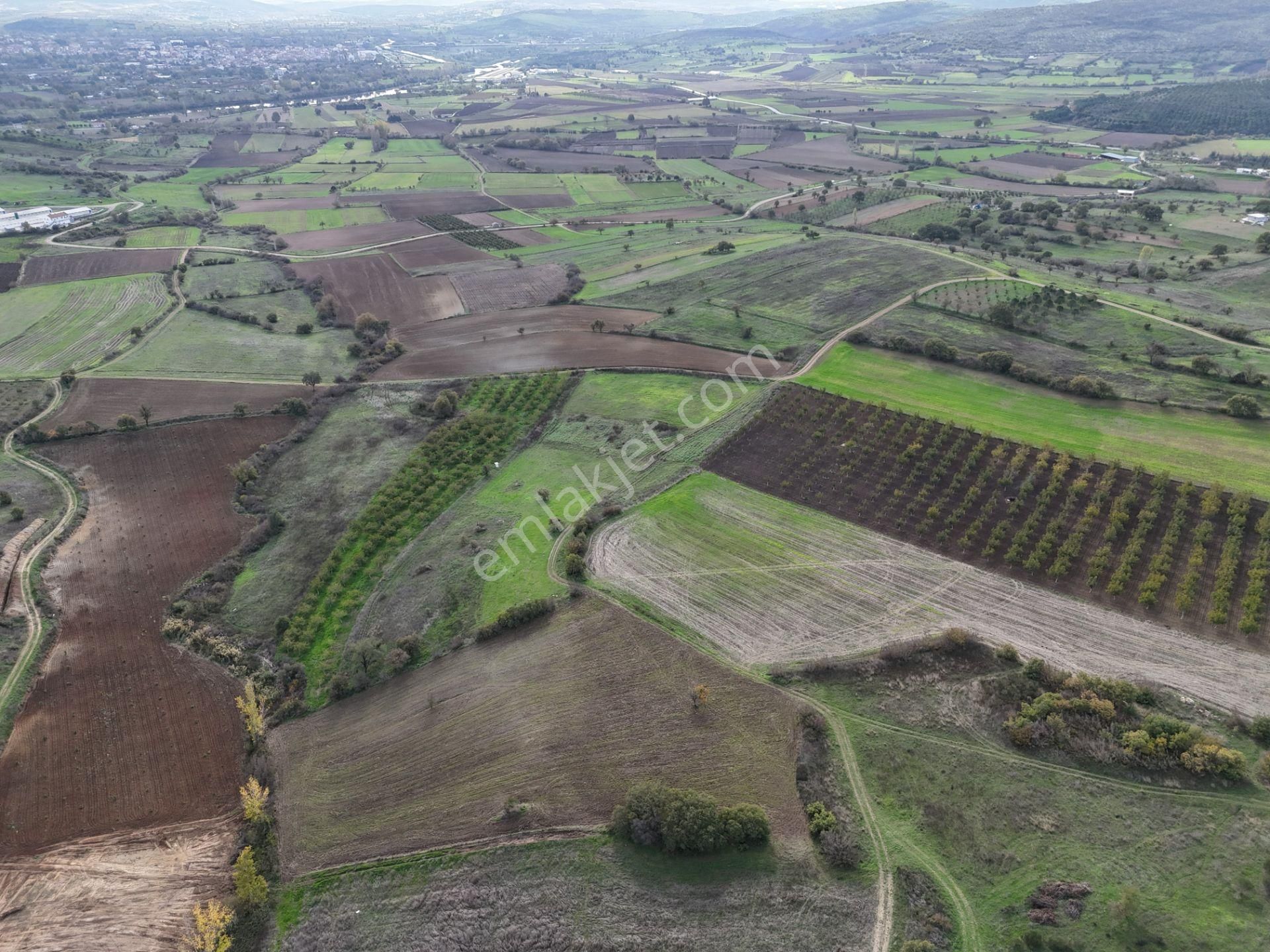 Rookz Balşehir Den Balıkesir Kepsut Recepköyde Satılık Tarla - Görsel 6