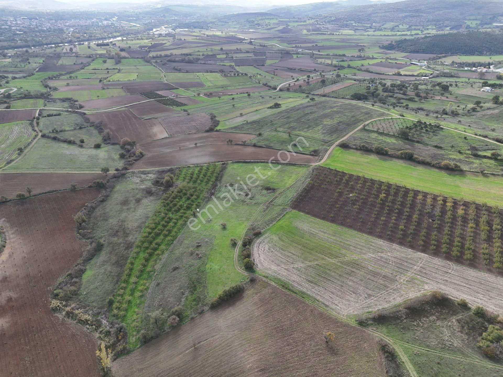 Rookz Balşehir Den Balıkesir Kepsut Recepköyde Satılık Tarla - Görsel 5