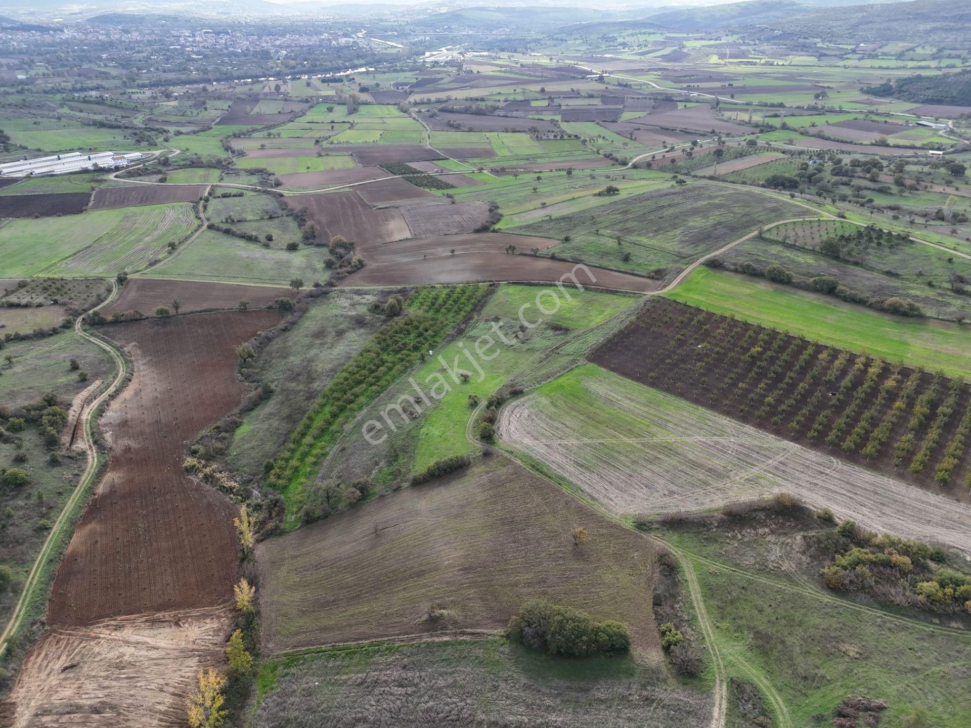 Rookz Balşehir Den Balıkesir Kepsut Recepköyde Satılık Tarla - Görsel 21