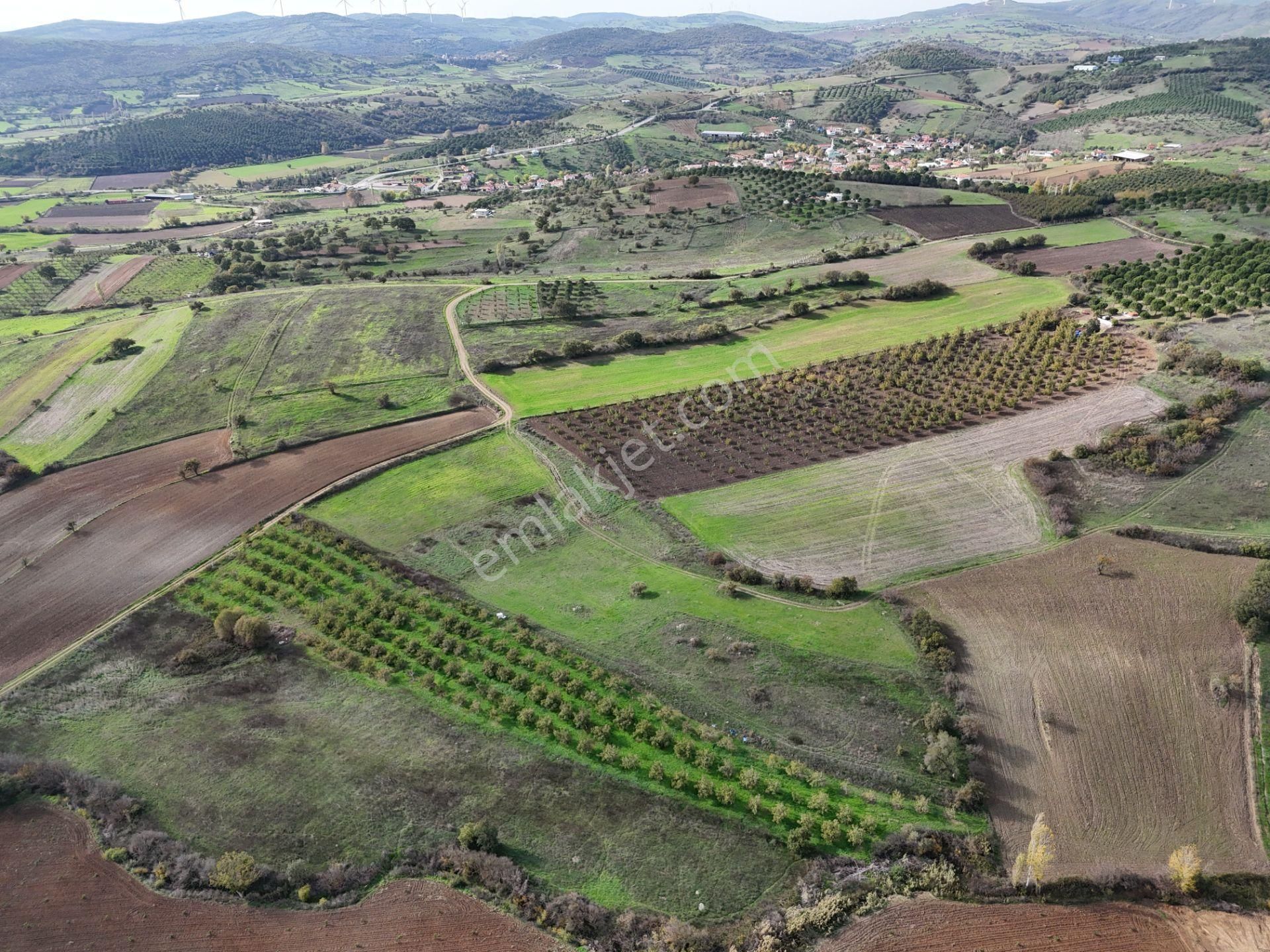 Rookz Balşehir Den Balıkesir Kepsut Recepköyde Satılık Tarla - Görsel 29