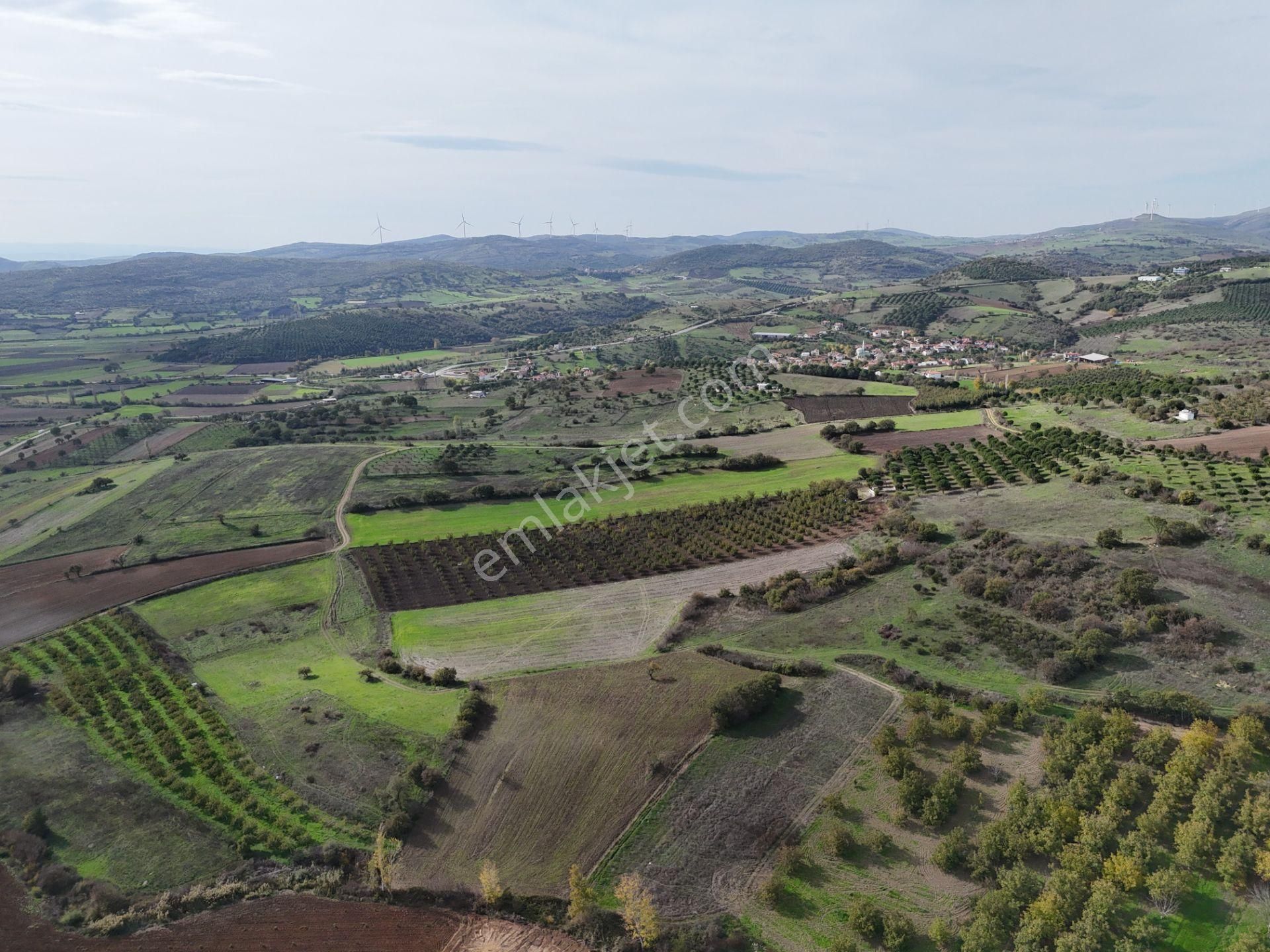 Rookz Balşehir Den Balıkesir Kepsut Recepköyde Satılık Tarla - Görsel 7