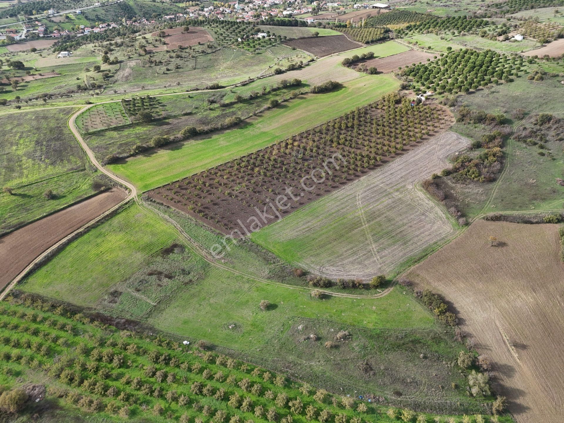 Rookz Balşehir Den Balıkesir Kepsut Recepköyde Satılık Tarla - Görsel 14