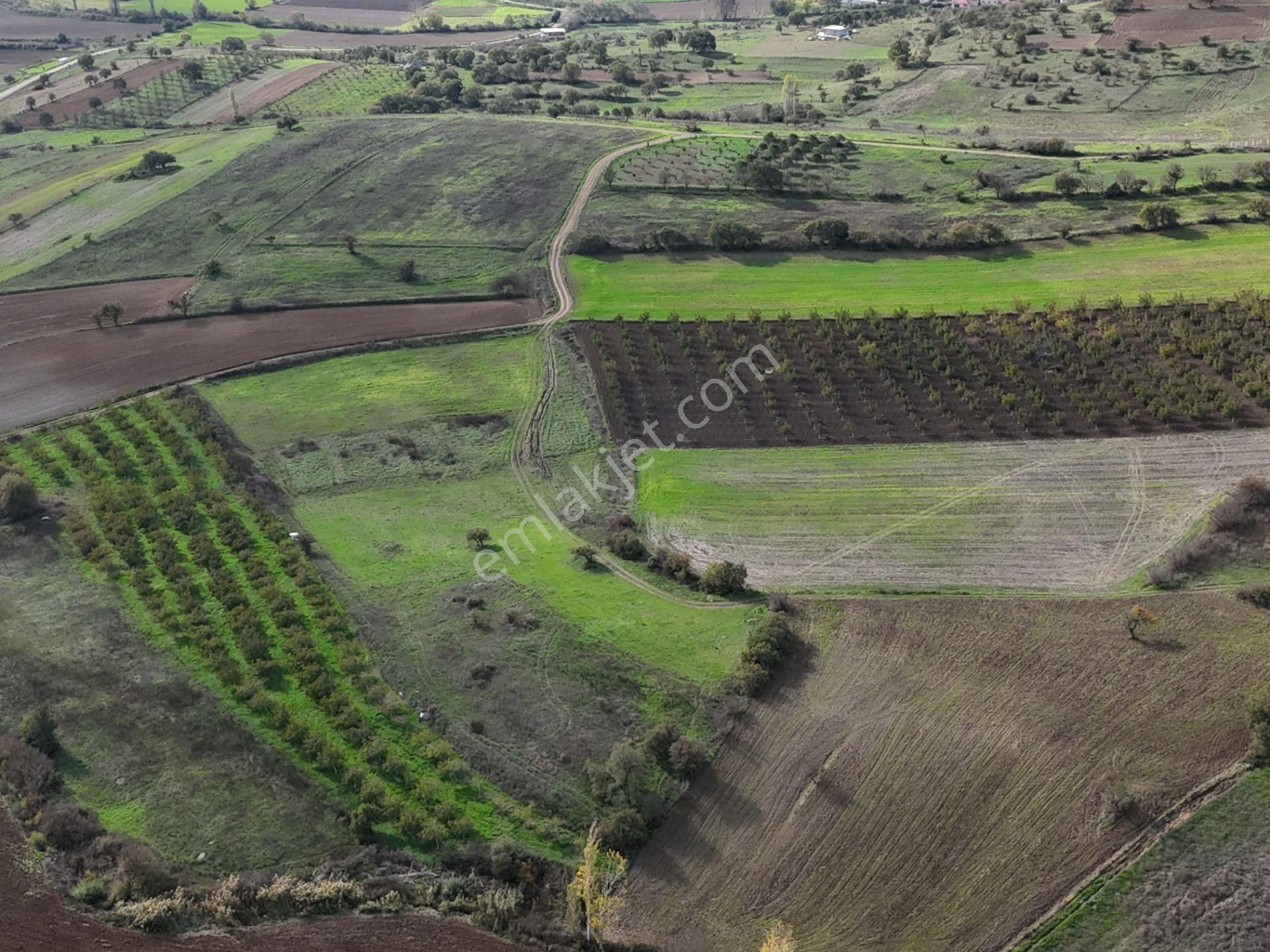 Rookz Balşehir Den Balıkesir Kepsut Recepköyde Satılık Tarla - Görsel 8