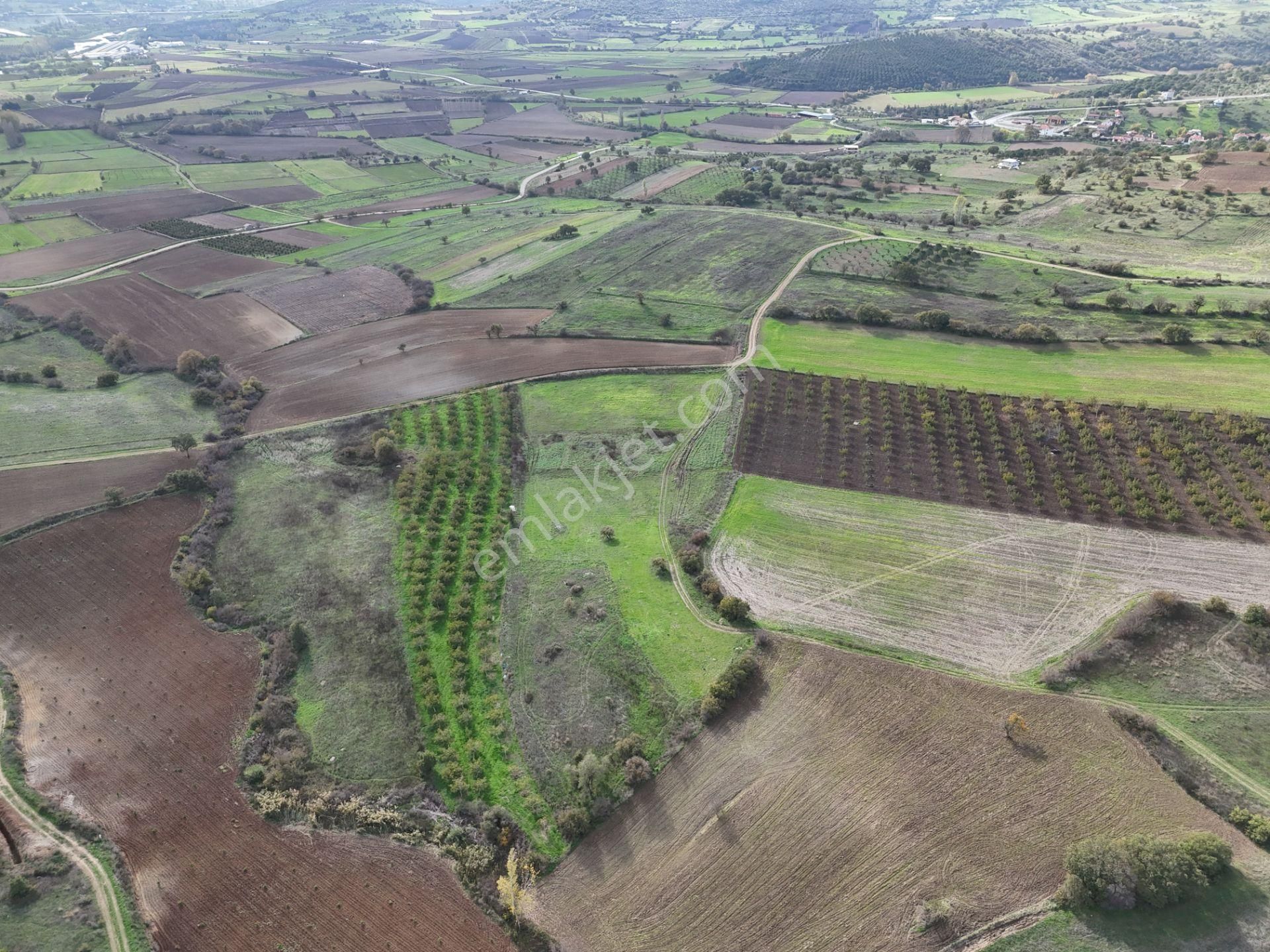 Rookz Balşehir Den Balıkesir Kepsut Recepköyde Satılık Tarla - Görsel 22