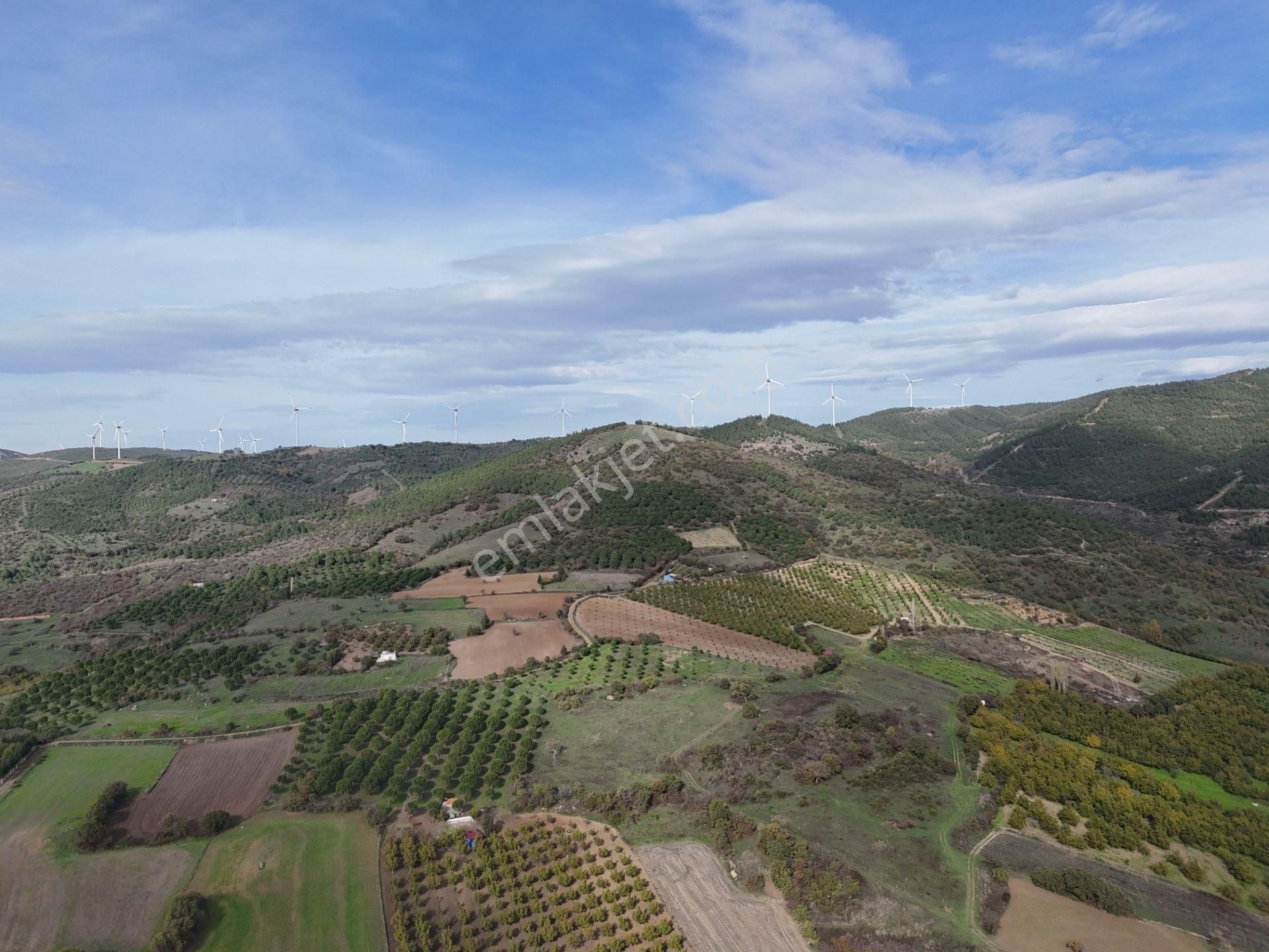 Rookz Balşehir Den Balıkesir Kepsut Recepköyde Satılık Tarla - Görsel 19