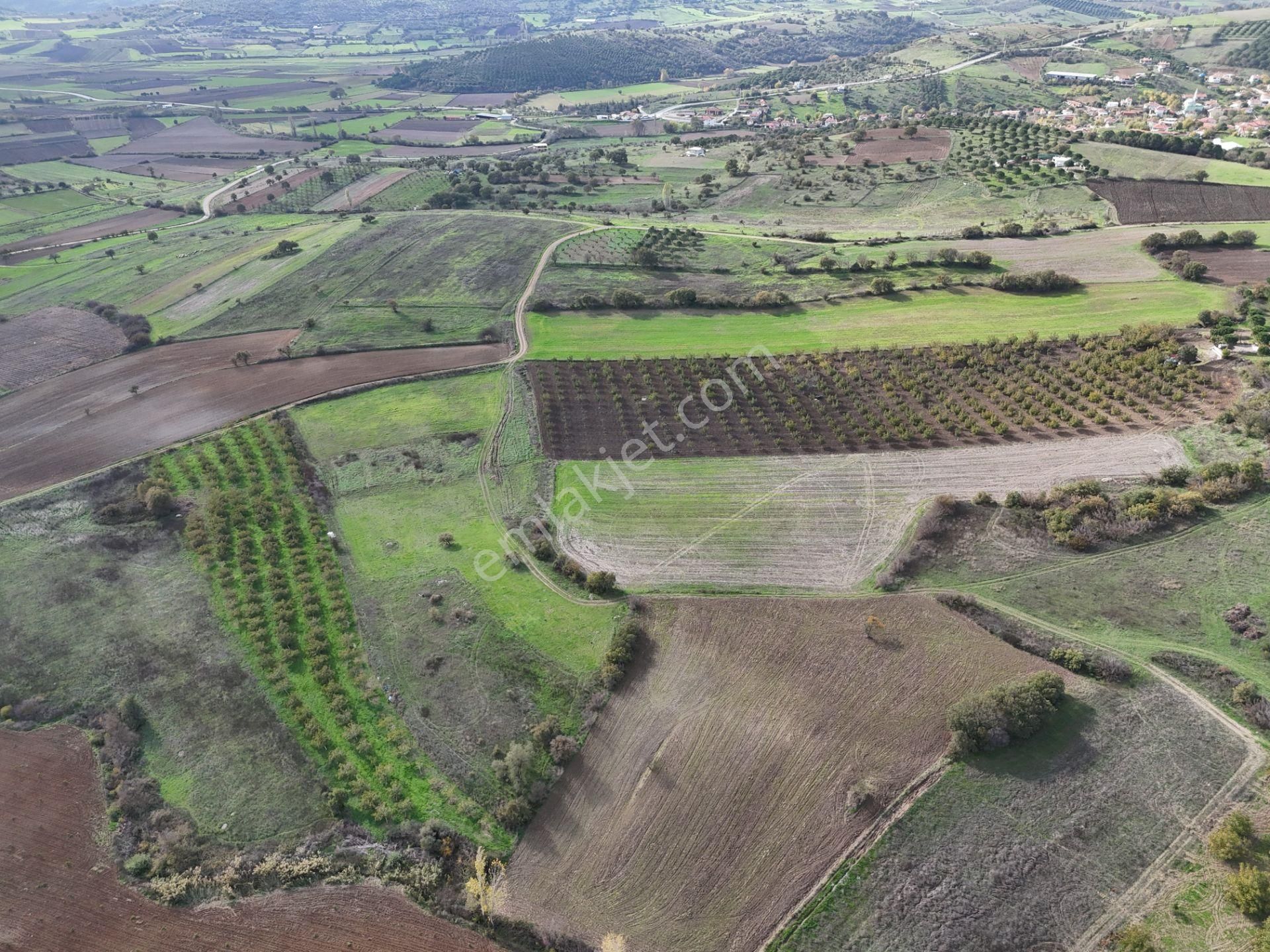 Rookz Balşehir Den Balıkesir Kepsut Recepköyde Satılık Tarla - Görsel 3