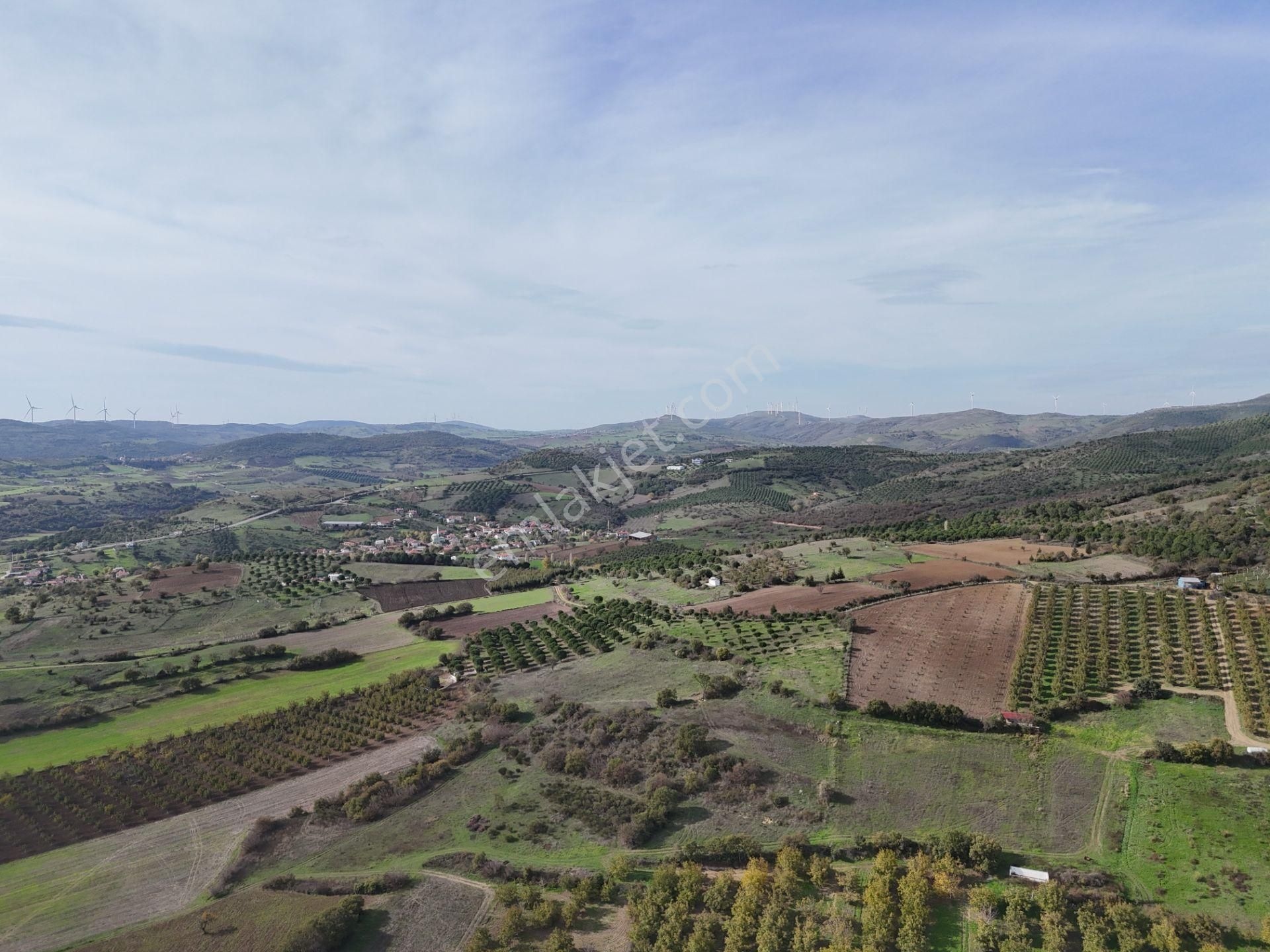 Rookz Balşehir Den Balıkesir Kepsut Recepköyde Satılık Tarla - Görsel 23