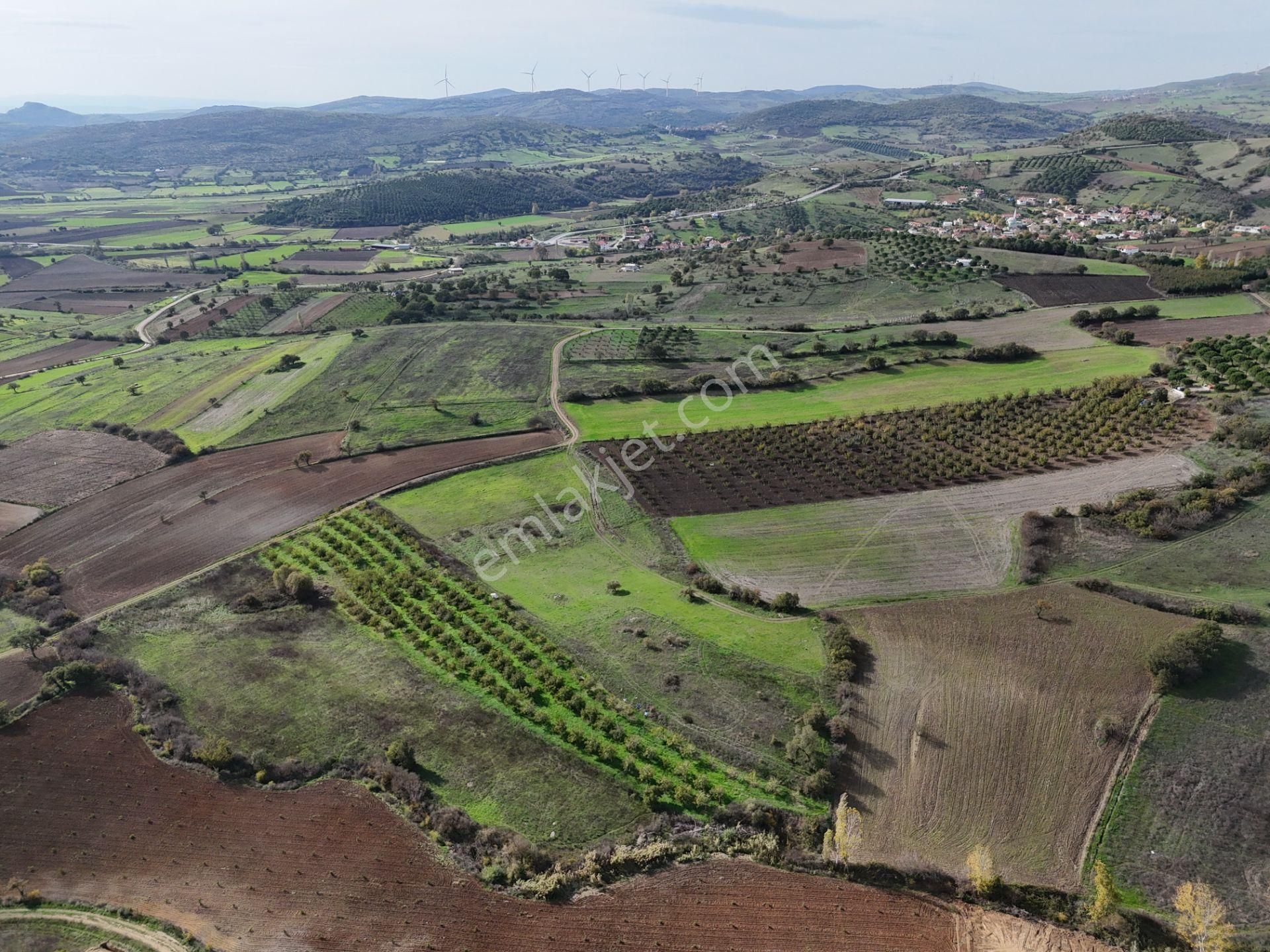 Rookz Balşehir Den Balıkesir Kepsut Recepköyde Satılık Tarla - Görsel 10