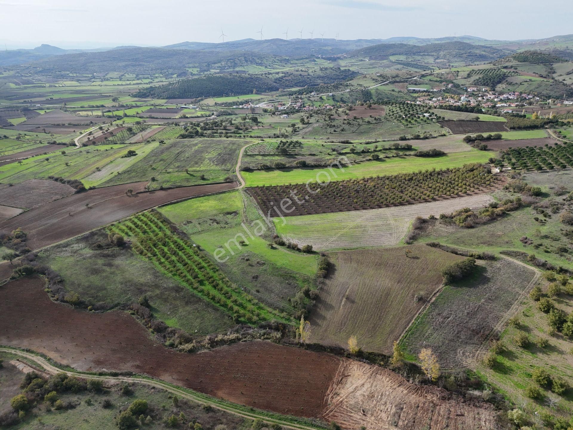 Rookz Balşehir Den Balıkesir Kepsut Recepköyde Satılık Tarla - Görsel 25