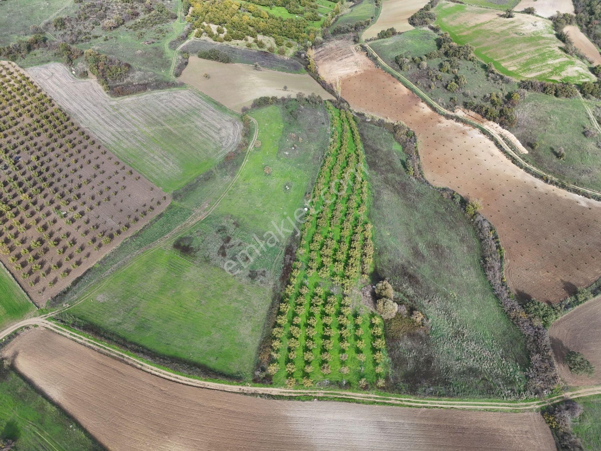 Rookz Balşehir Den Balıkesir Kepsut Recepköyde Satılık Tarla - Görsel 26