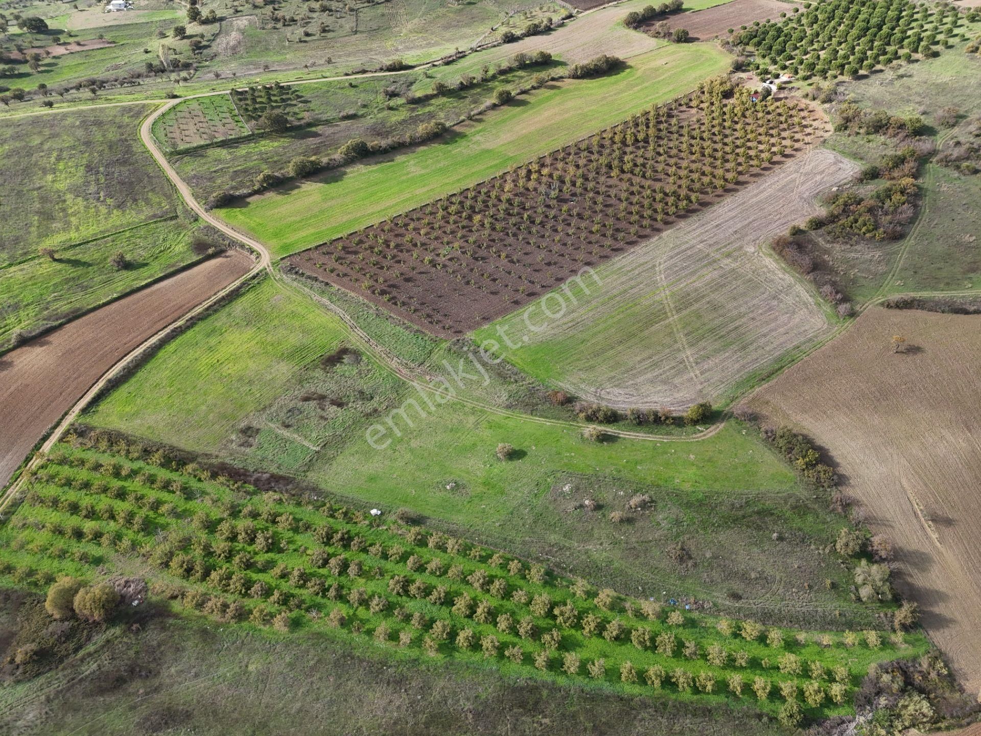 Rookz Balşehir Den Balıkesir Kepsut Recepköyde Satılık Tarla - Görsel 15