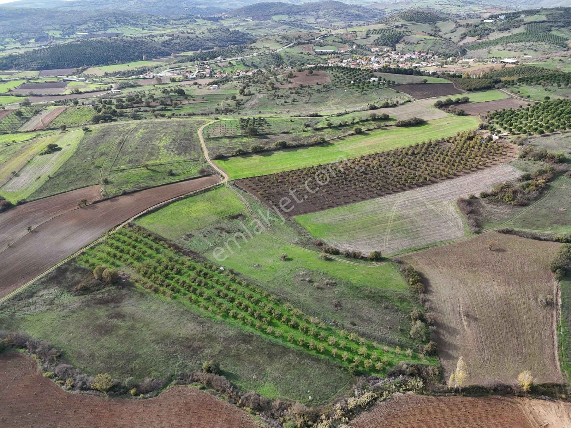 Rookz Balşehir Den Balıkesir Kepsut Recepköyde Satılık Tarla - Görsel 12