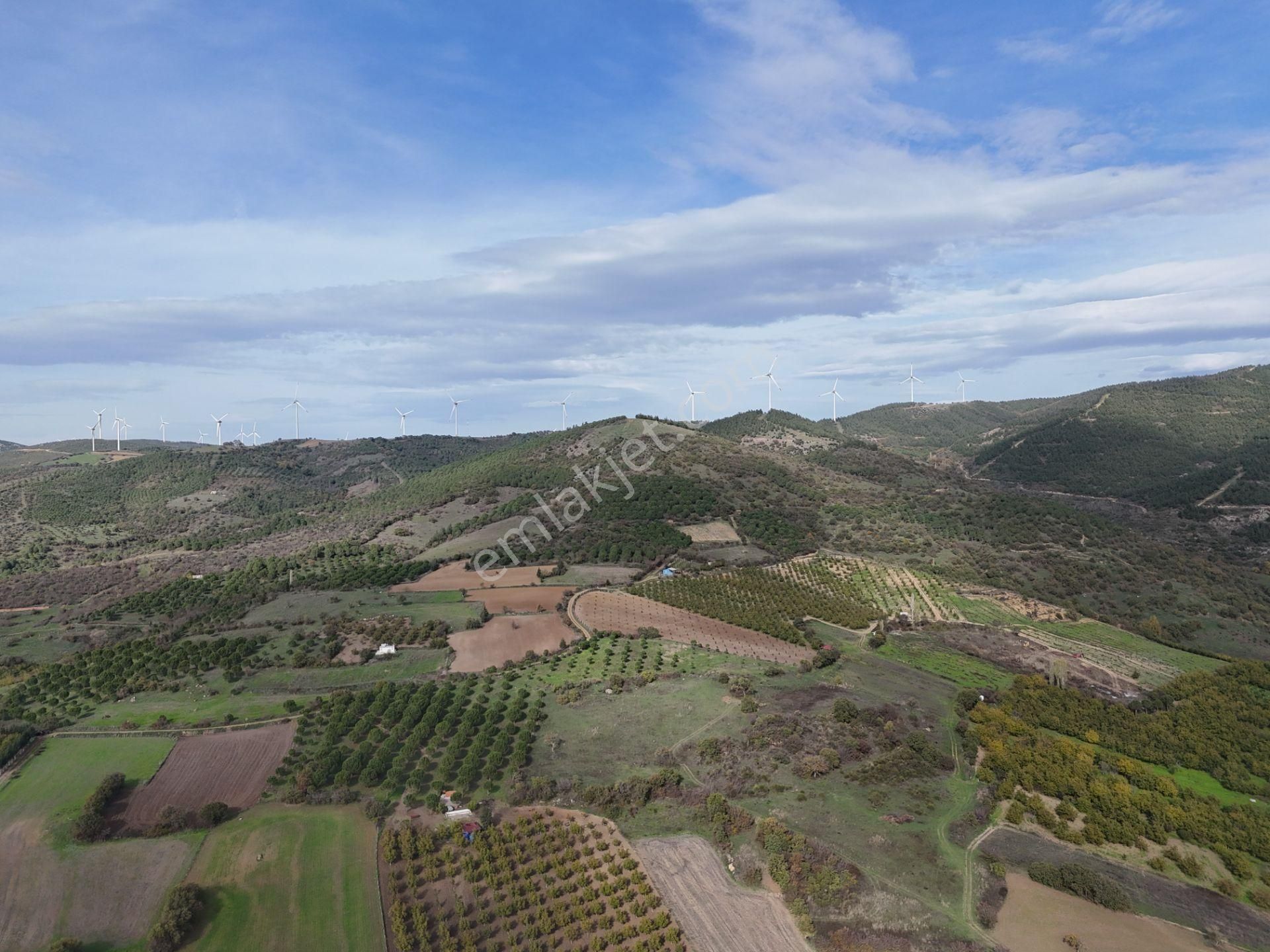 Rookz Balşehir Den Balıkesir Kepsut Recepköyde Satılık Tarla - Görsel 27