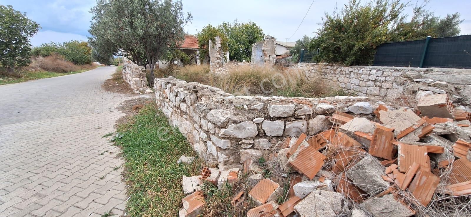 🏡 3 Oda 1 Mutfak Tam Müstakil - Taş Ev - Apollon Tapınağı'nda - Görsel 2