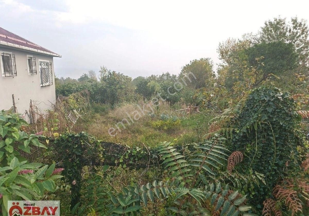 Perşembe Mersin Mah.de Satılık Deniz Manzaralı Villalık Arsa - Görsel 4