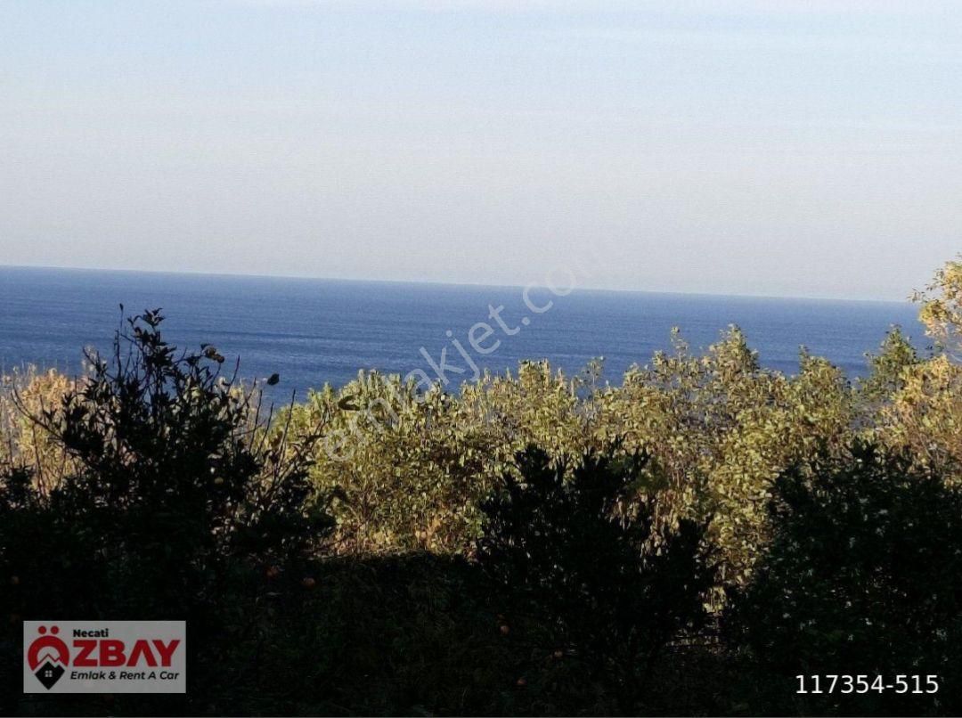Perşembe Mersin Mah.de Satılık Deniz Manzaralı Villalık Arsa