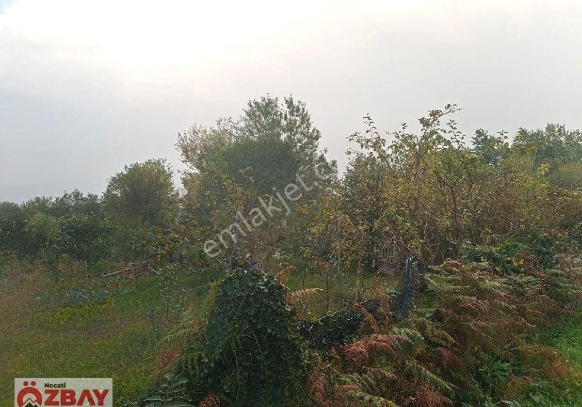 Perşembe Mersin Mah.de Satılık Deniz Manzaralı Villalık Arsa - Görsel 3