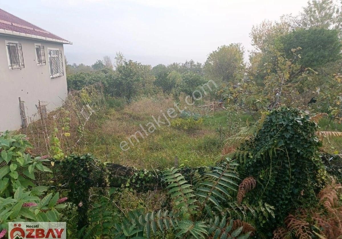 Perşembe Mersin Mah.de Satılık Deniz Manzaralı Villalık Arsa - Görsel 6