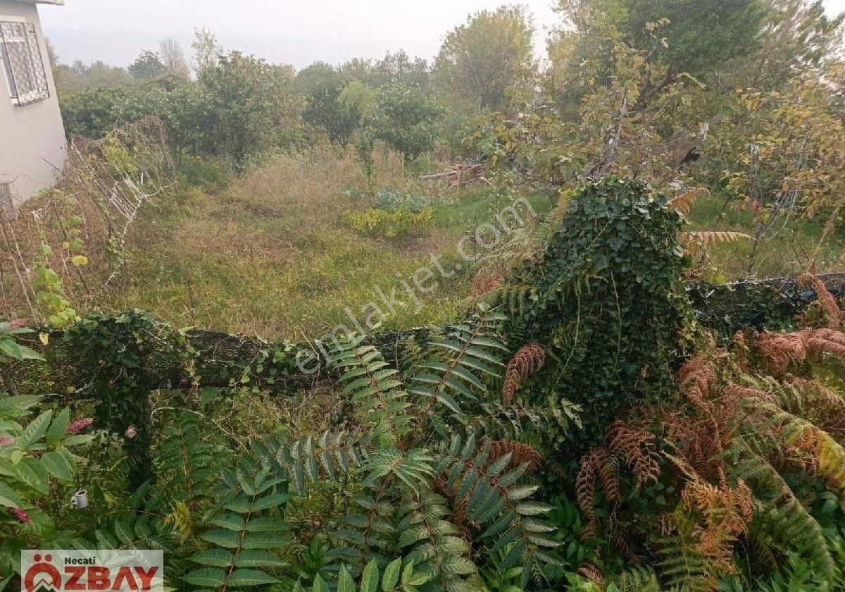 Perşembe Mersin Mah.de Satılık Deniz Manzaralı Villalık Arsa - Görsel 5