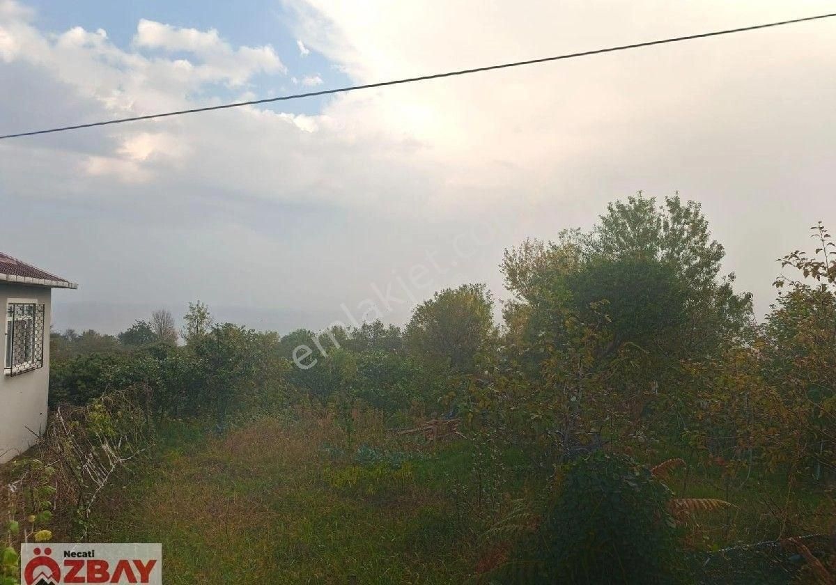 Perşembe Mersin Mah.de Satılık Deniz Manzaralı Villalık Arsa - Görsel 8