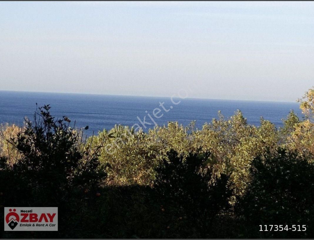 Perşembe Mersin Mah.de Satılık Deniz Manzaralı Villalık Arsa - Görsel 9