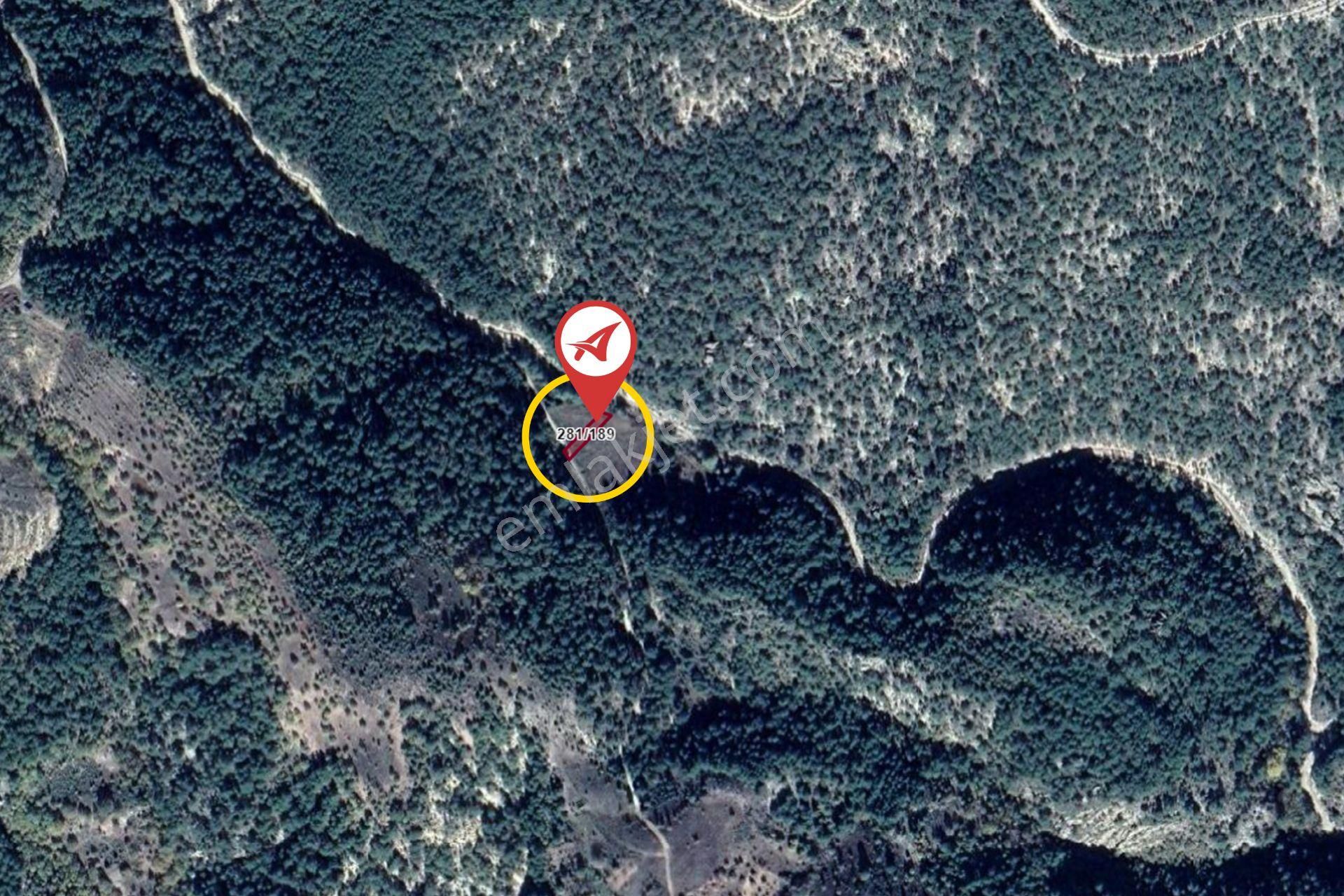 Balıkesir Sındırgı Gözeren Satılık 393m2 Bahçe - Görsel 10