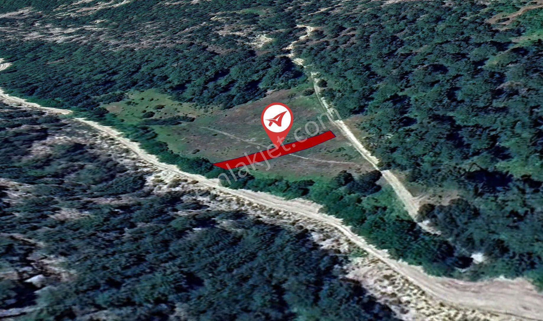 Balıkesir Sındırgı Gözeren Satılık 393m2 Bahçe - Görsel 4