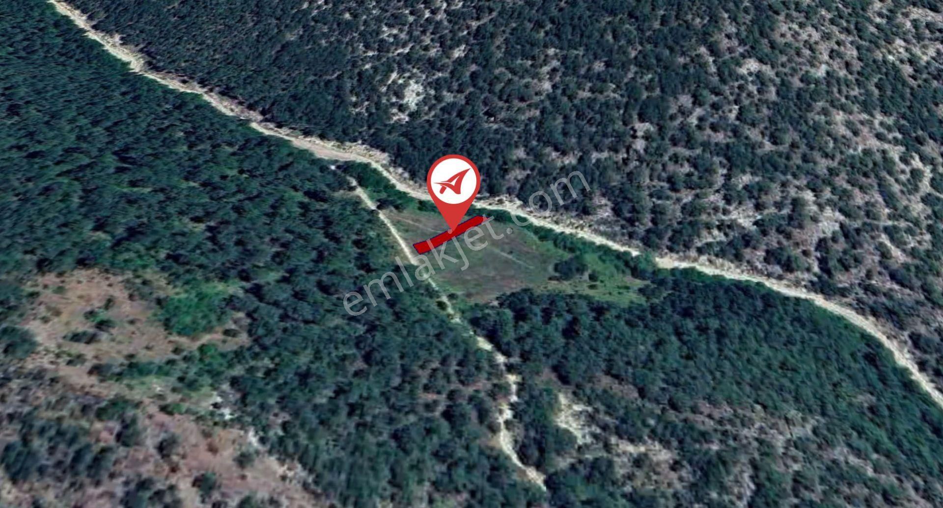 Balıkesir Sındırgı Gözeren Satılık 393m2 Bahçe - Görsel 2