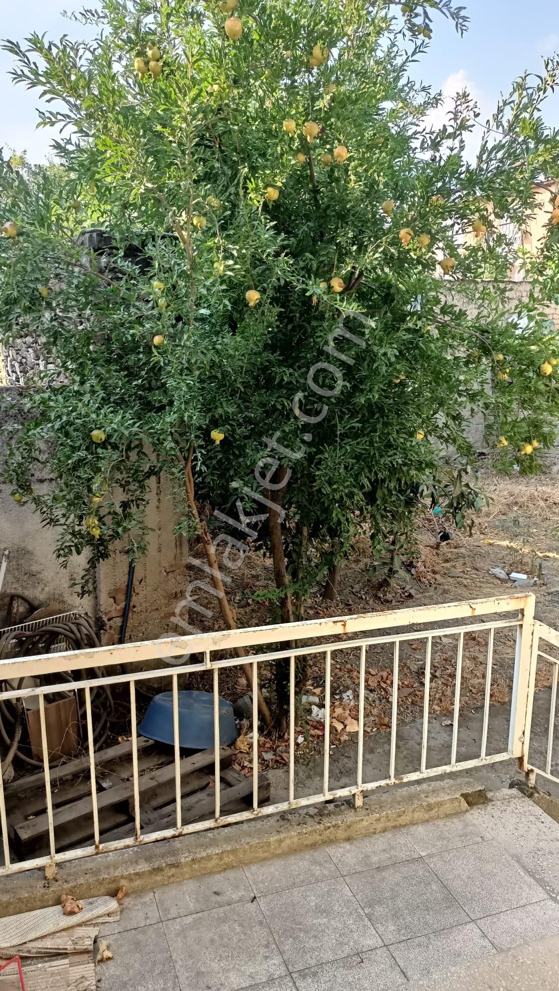 Miray Emlaktan Yenipazar Merkezde Satılık Müstakil Ev - Görsel 44