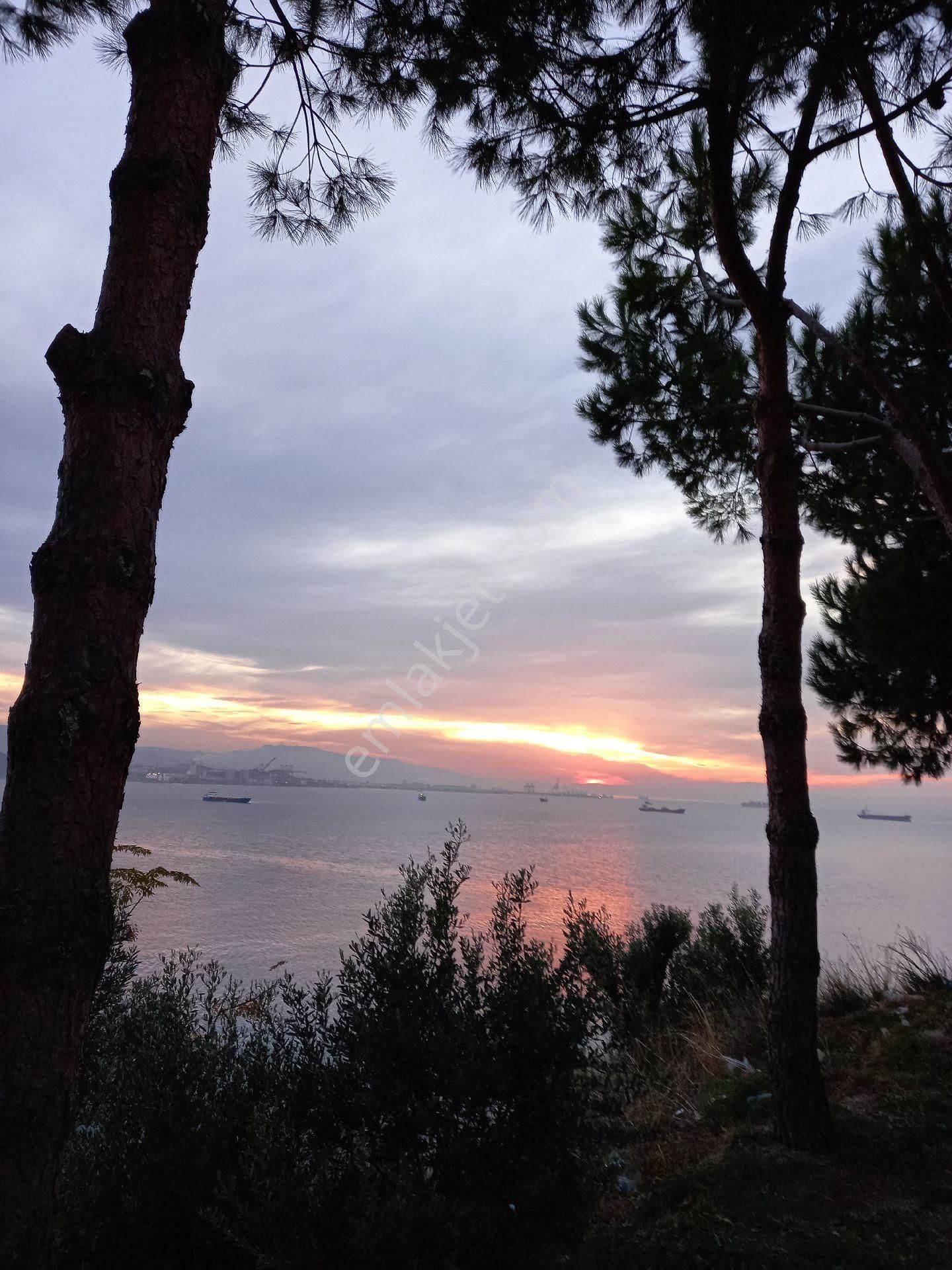 Gemlık Te Sahıbınden Esyalı Denıze Sıfır Kıralık Daıre - Görsel 7