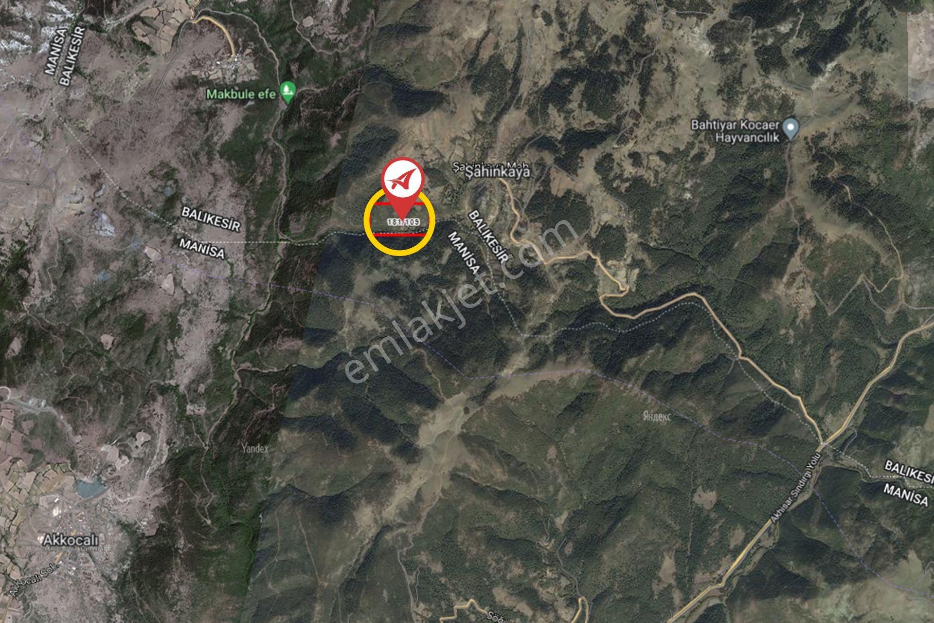 Balıkesir Sındırgı Şahinkaya Satılık 357m2 Bahçe - Görsel 20