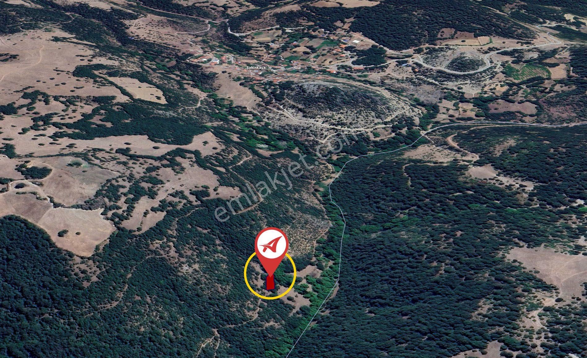 Balıkesir Sındırgı Şahinkaya Satılık 357m2 Bahçe - Görsel 16