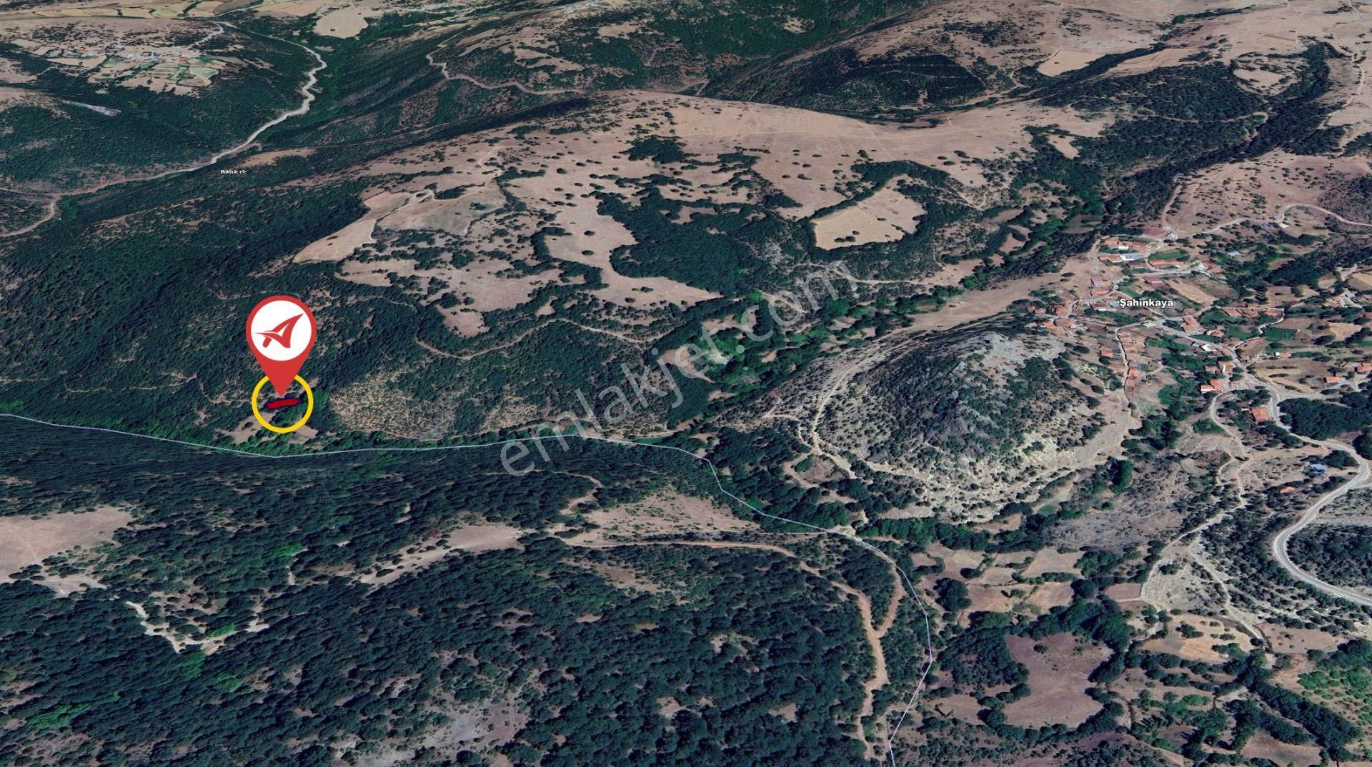 Balıkesir Sındırgı Şahinkaya Satılık 357m2 Bahçe - Görsel 14