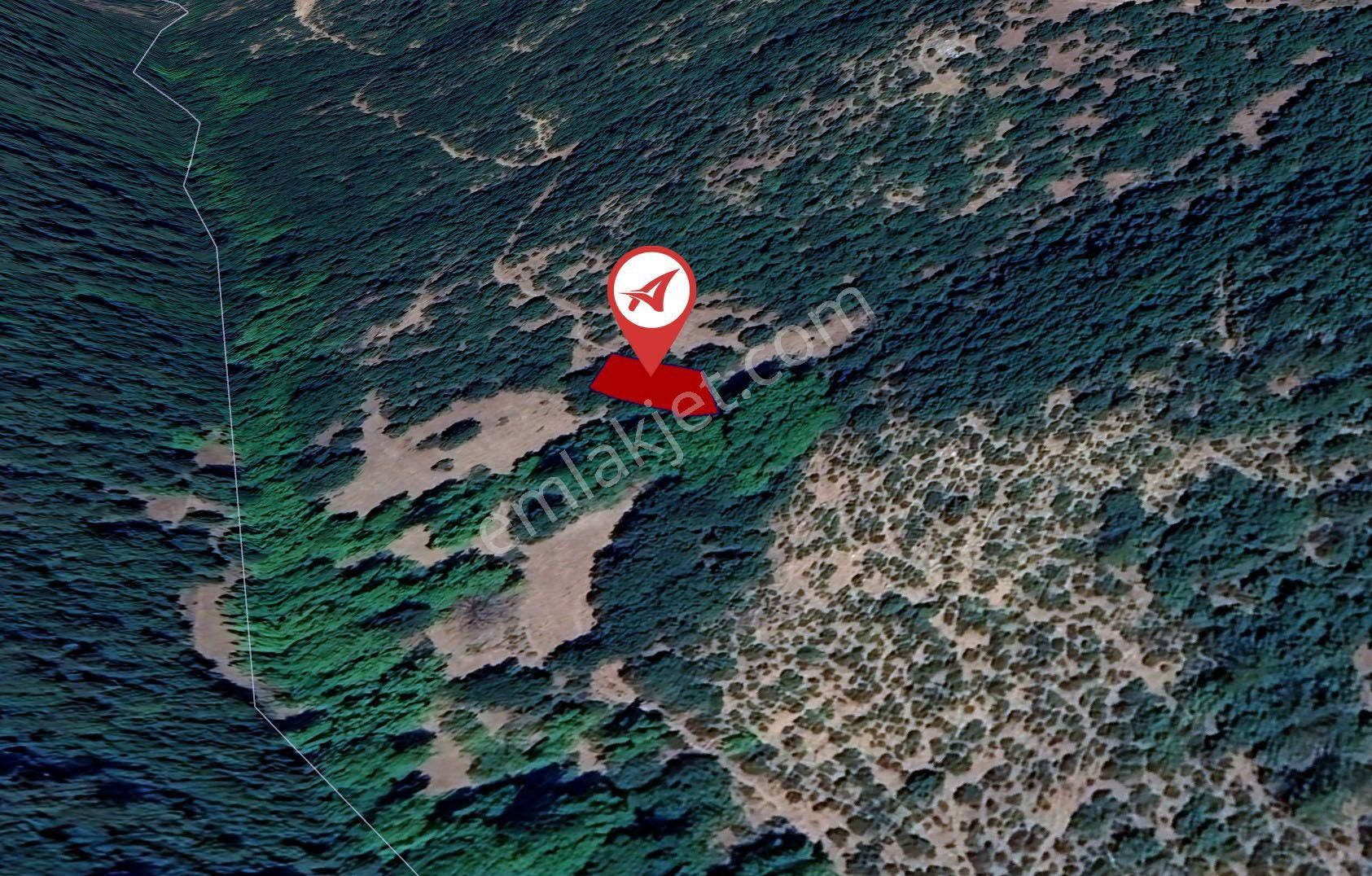 Balıkesir Sındırgı Şahinkaya Satılık 357m2 Bahçe - Görsel 15