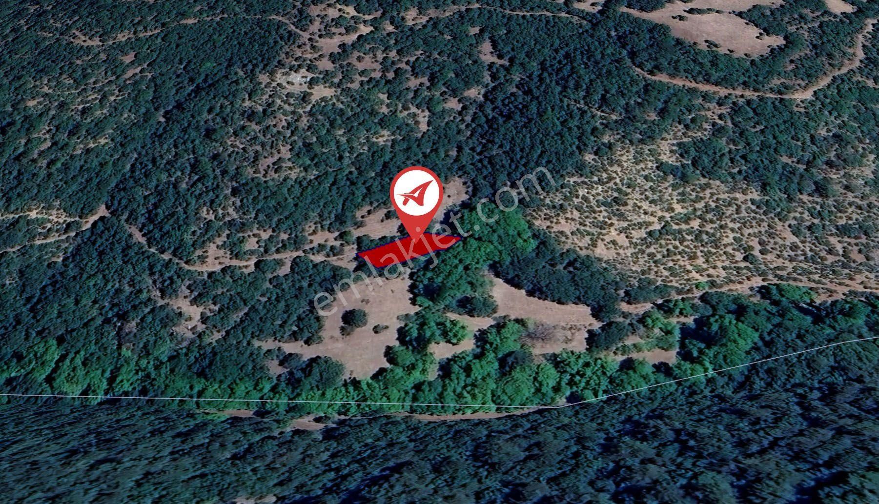 Balıkesir Sındırgı Şahinkaya Satılık 357m2 Bahçe - Görsel 12