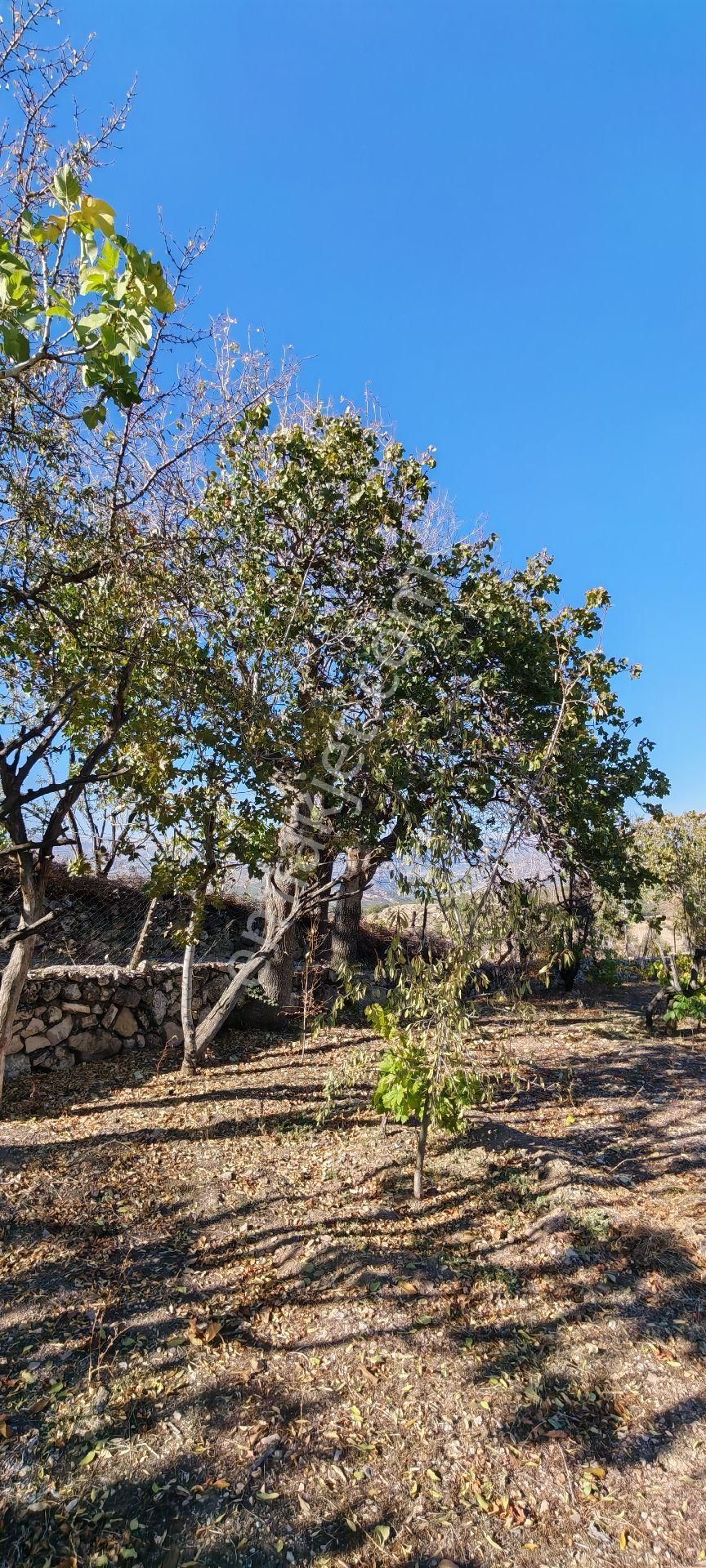 Çok Acil Satılık - Görsel 14