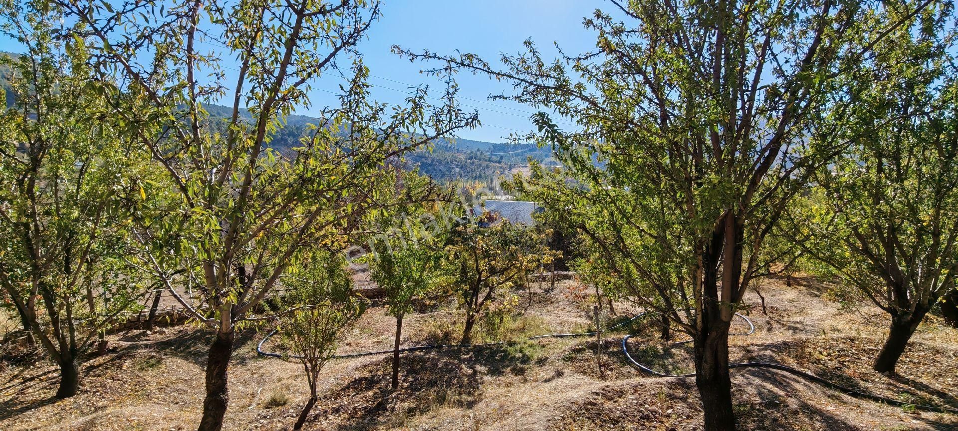 Çok Acil Satılık - Görsel 4