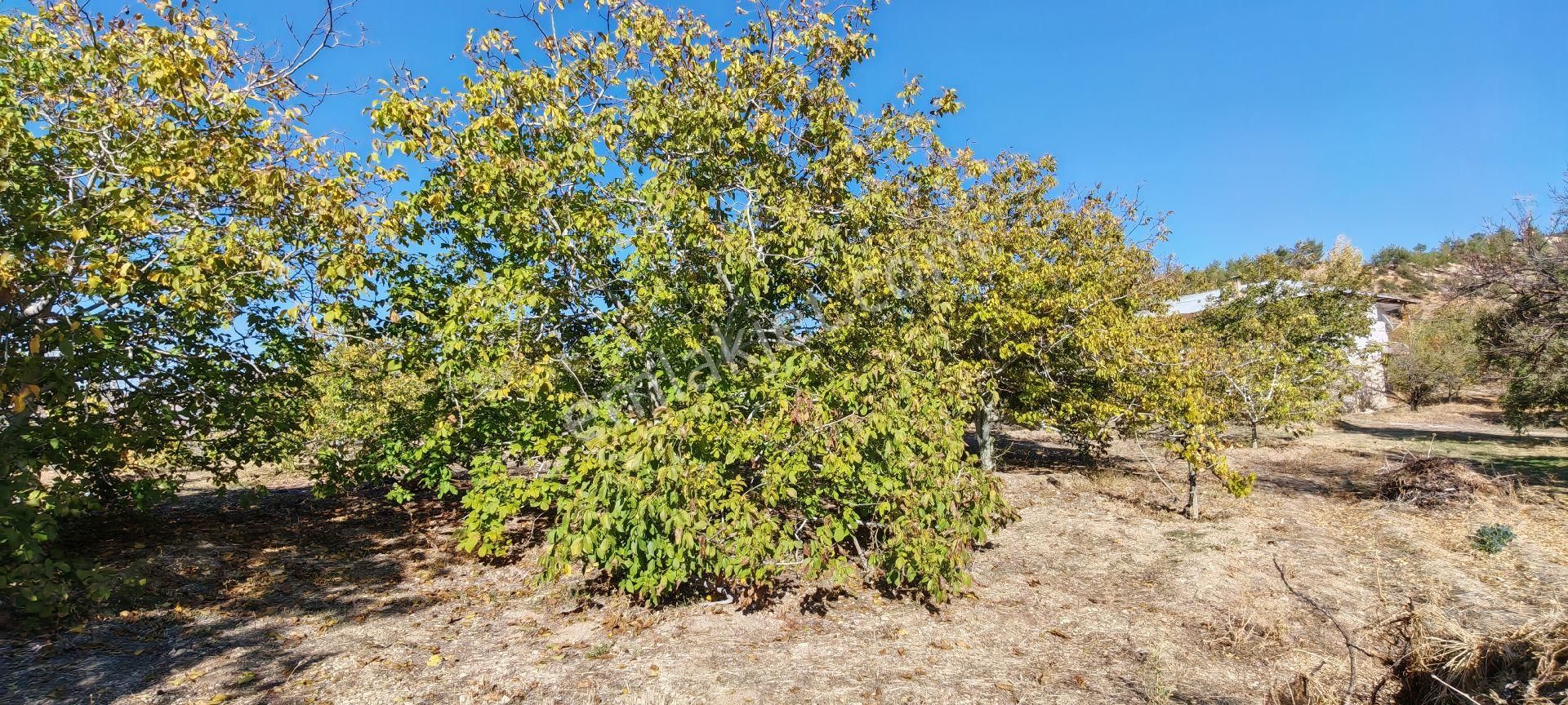 Çok Acil Satılık - Görsel 9