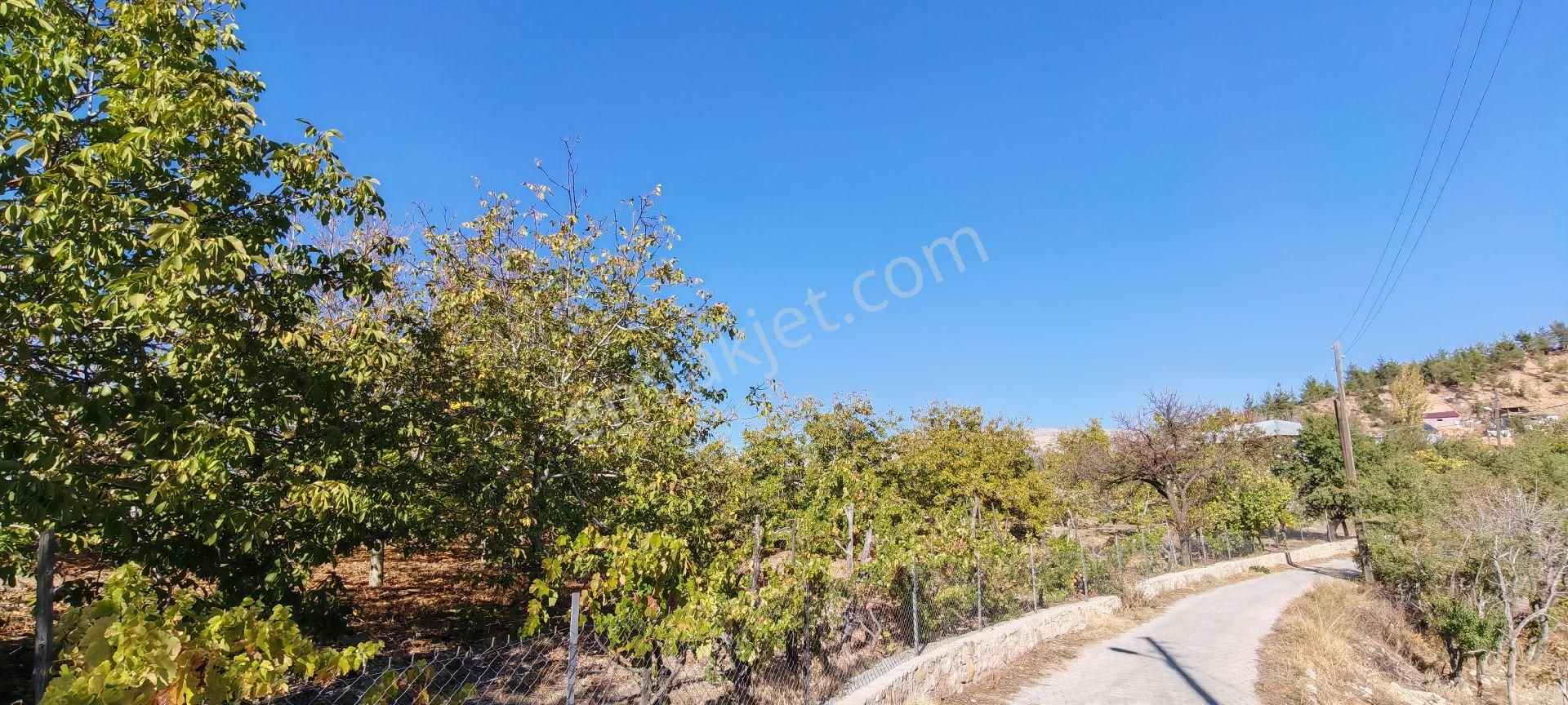 Çok Acil Satılık - Görsel 22