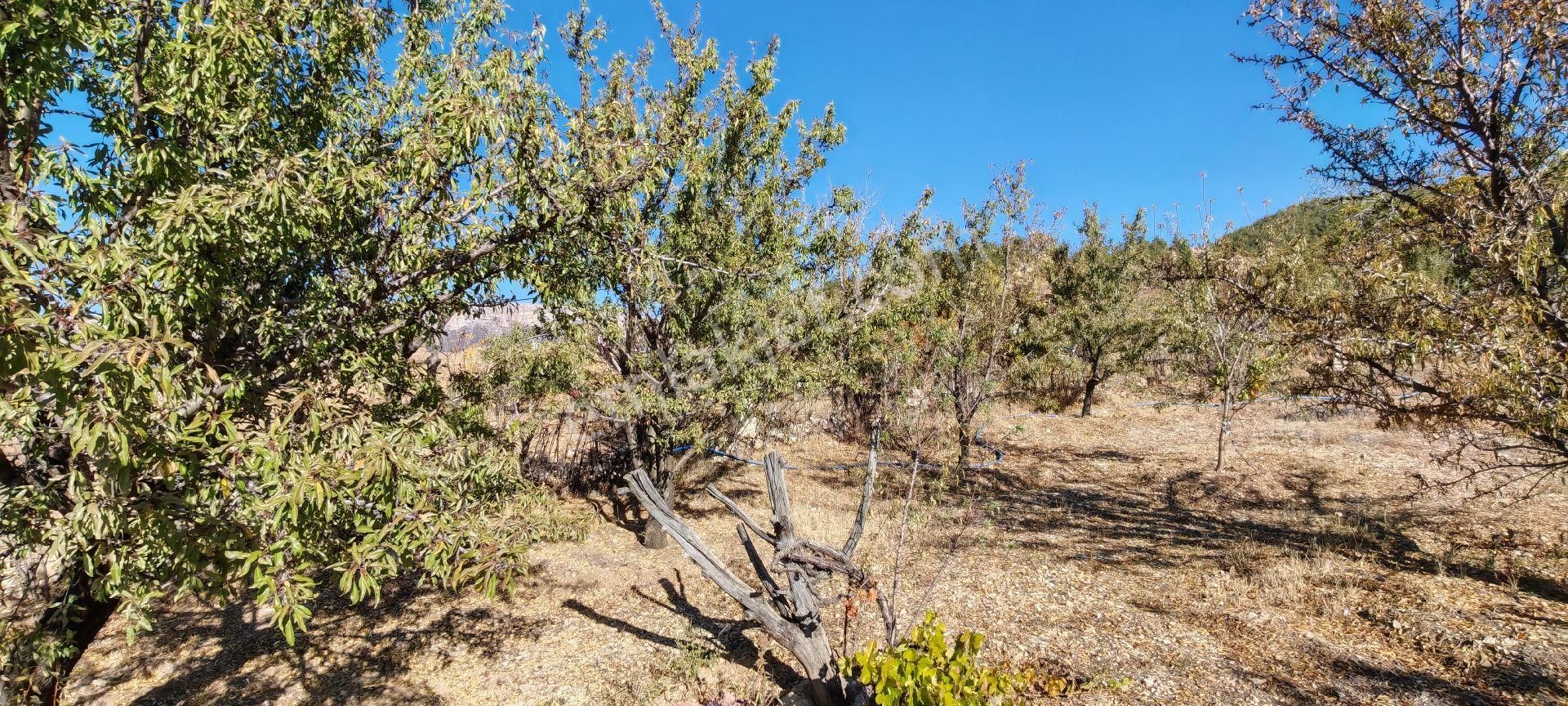 Çok Acil Satılık - Görsel 17