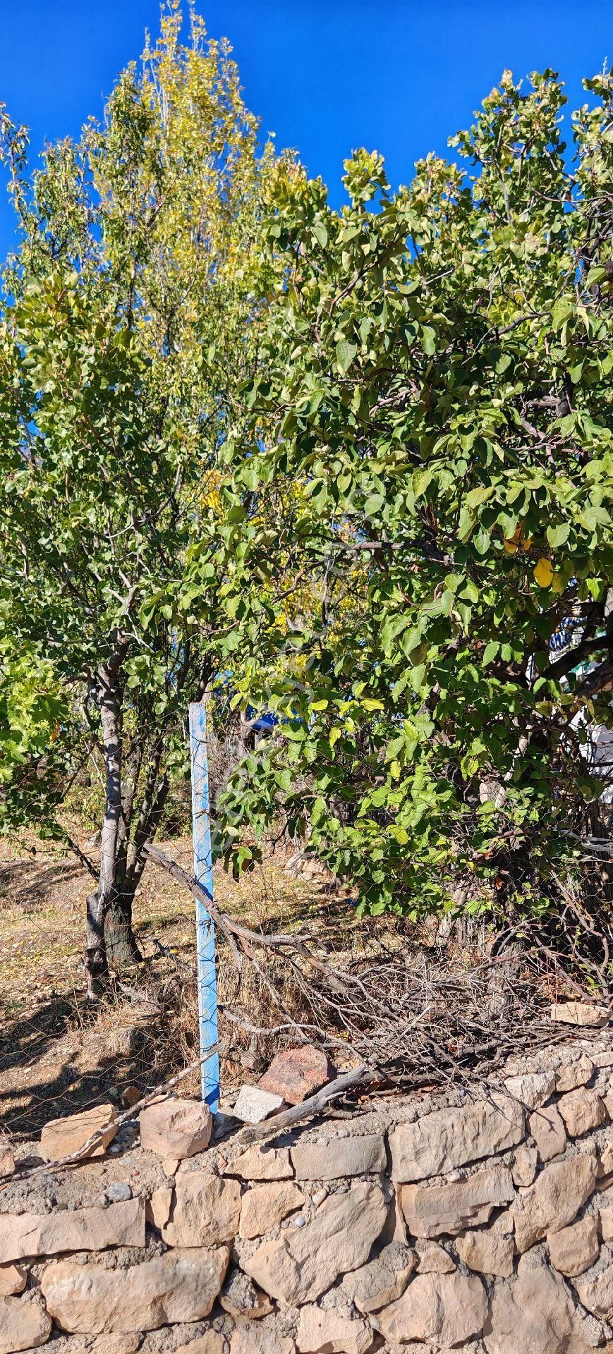 Çok Acil Satılık - Görsel 21