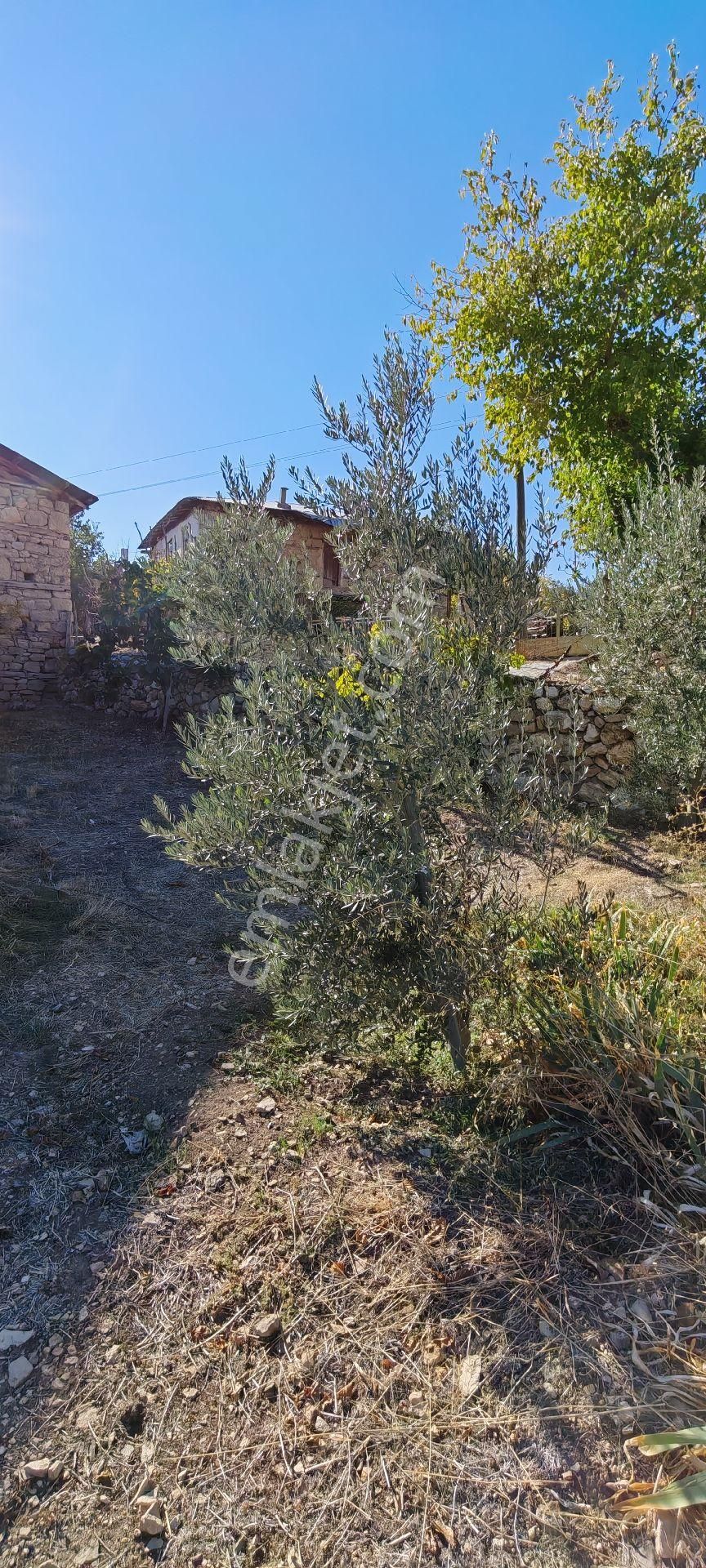 Çok Acil Satılık - Görsel 12