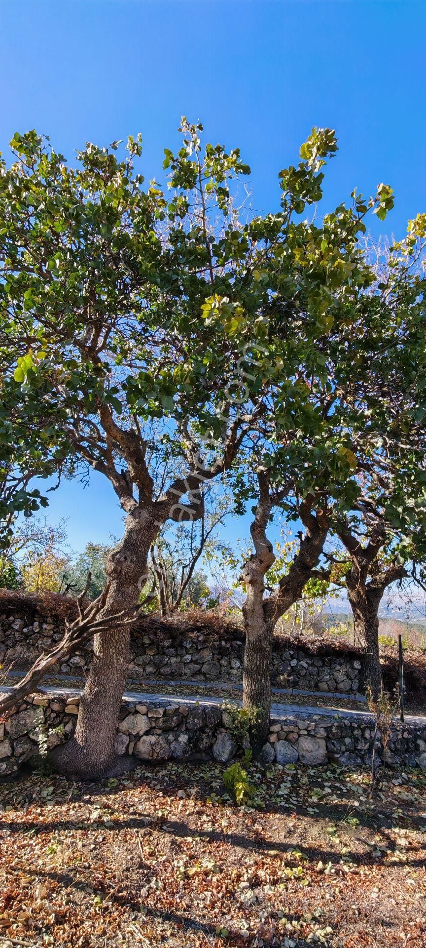 Çok Acil Satılık - Görsel 15