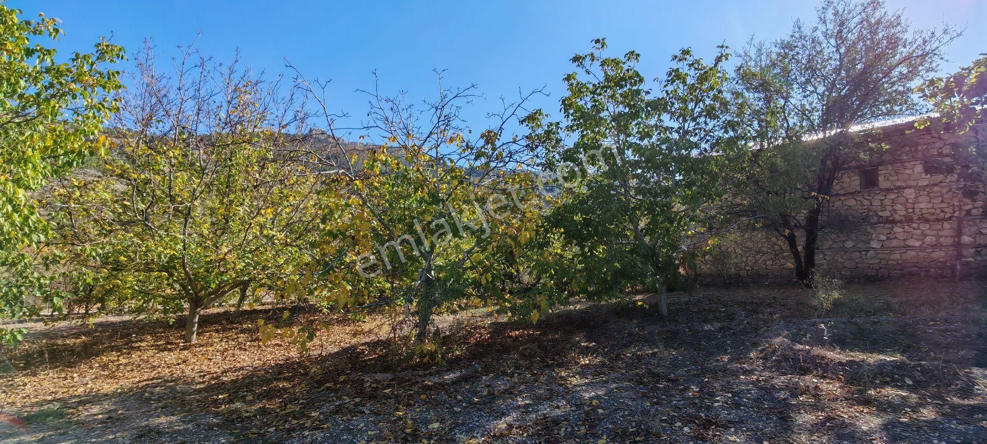 Çok Acil Satılık - Görsel 7