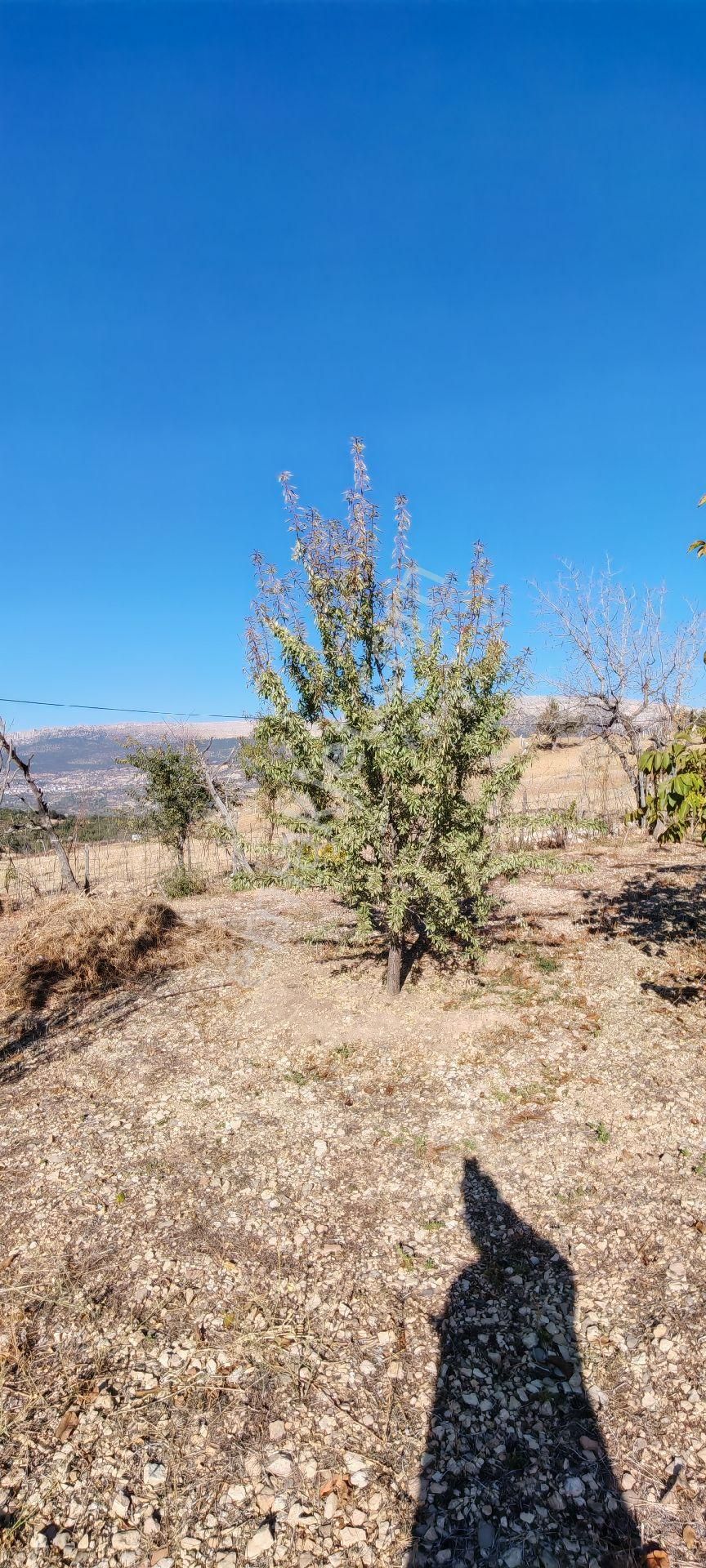 Çok Acil Satılık - Görsel 23