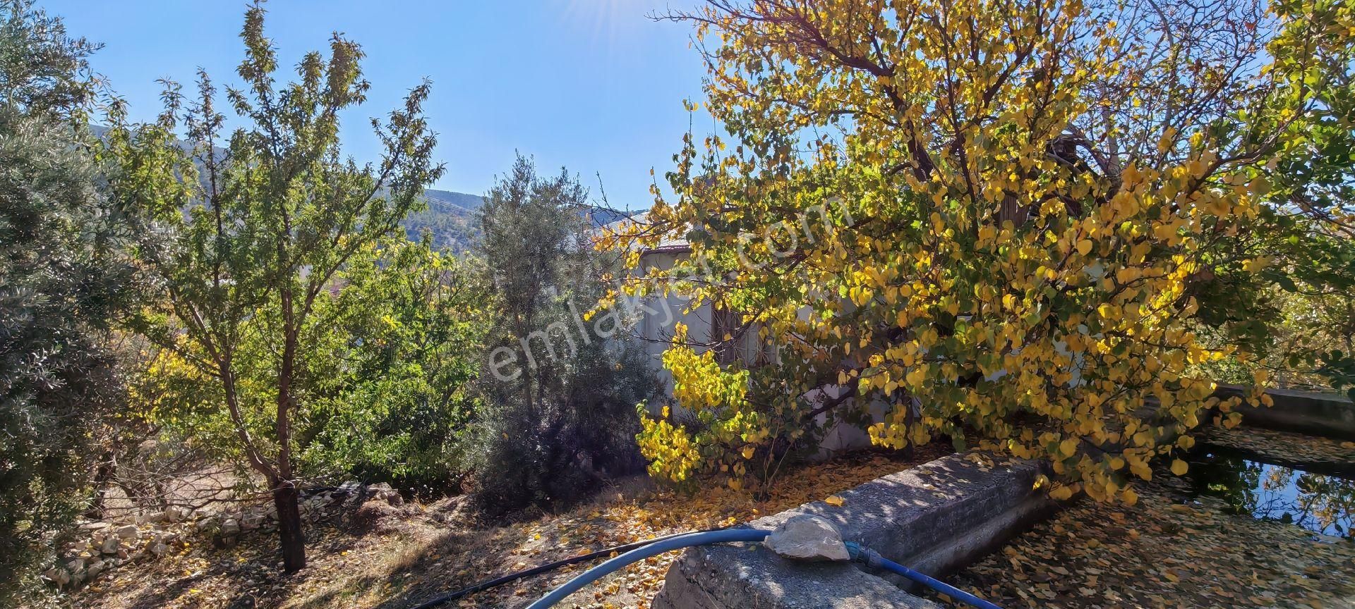 Çok Acil Satılık - Görsel 5