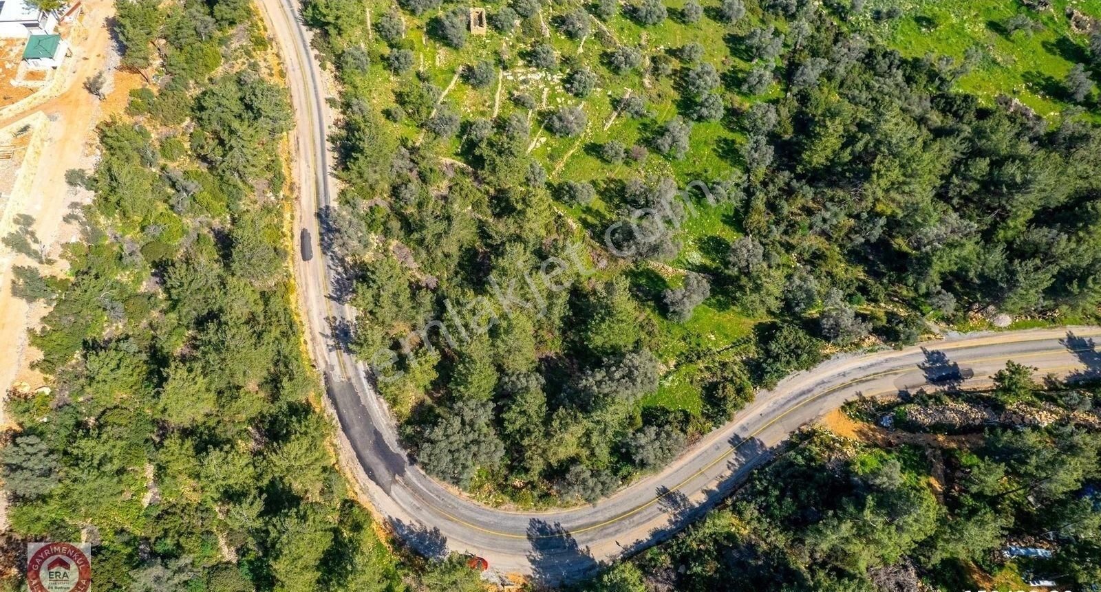 Kızılağaç'ta Yola Sıfır Tek Hisseli Zeytinli Tarla 4,5 Dönüm - Görsel 5