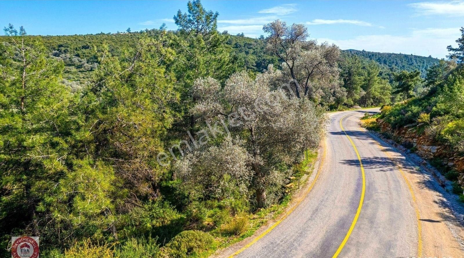 Kızılağaç'ta Yola Sıfır Tek Hisseli Zeytinli Tarla 4,5 Dönüm - Görsel 8