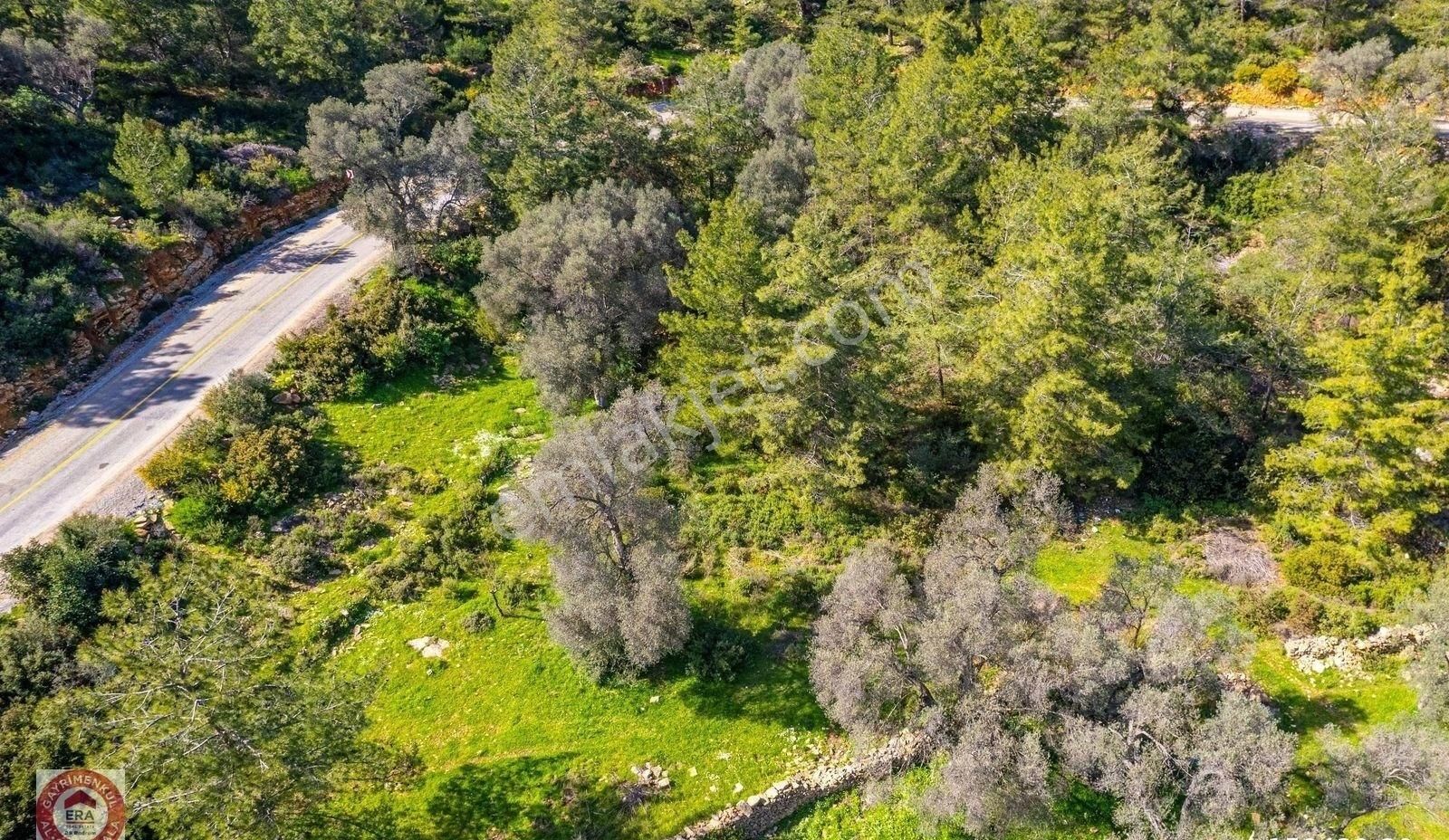 Kızılağaç'ta Yola Sıfır Tek Hisseli Zeytinli Tarla 4,5 Dönüm - Görsel 11