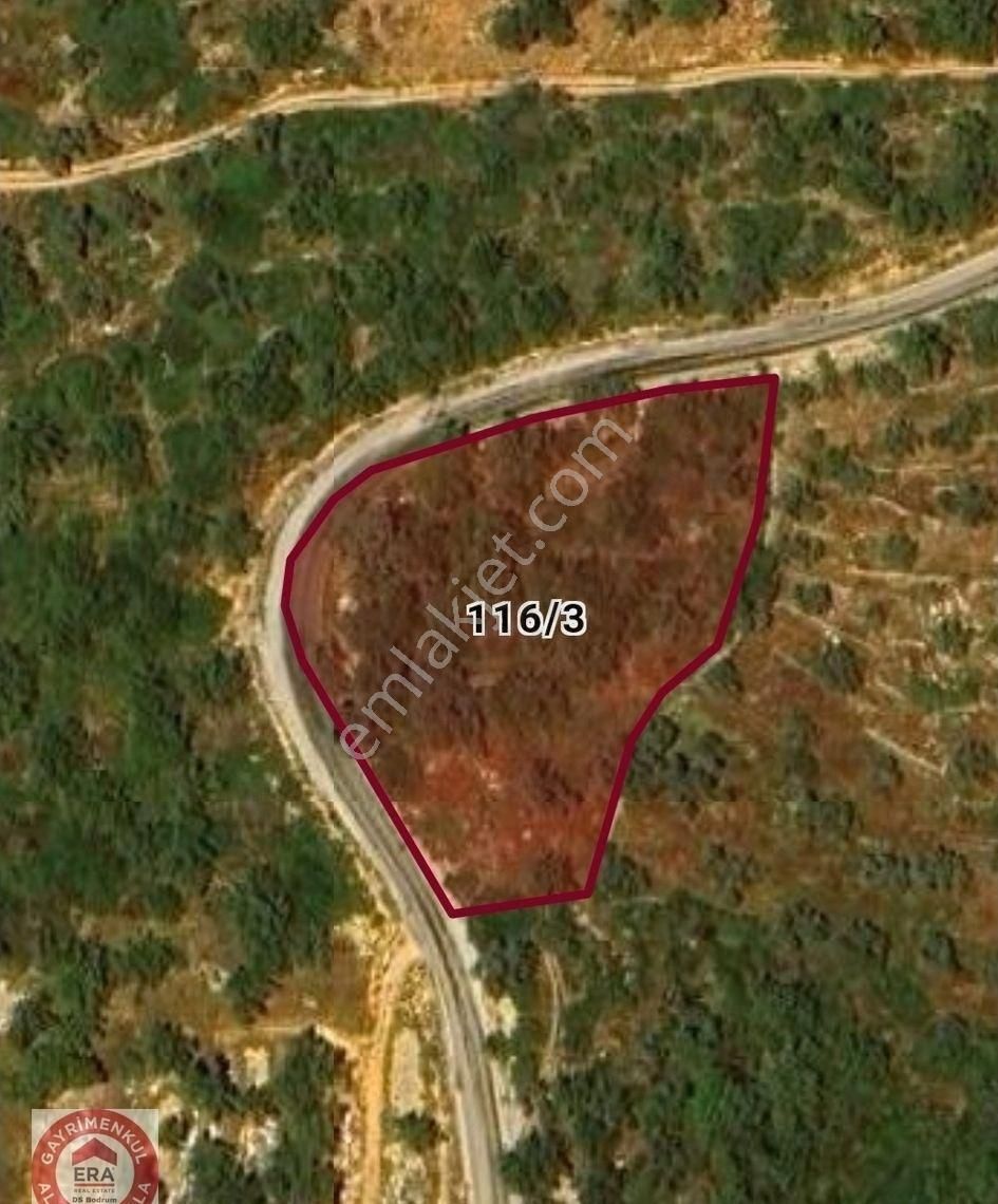 Kızılağaç'ta Yola Sıfır Tek Hisseli Zeytinli Tarla 4,5 Dönüm - Görsel 17